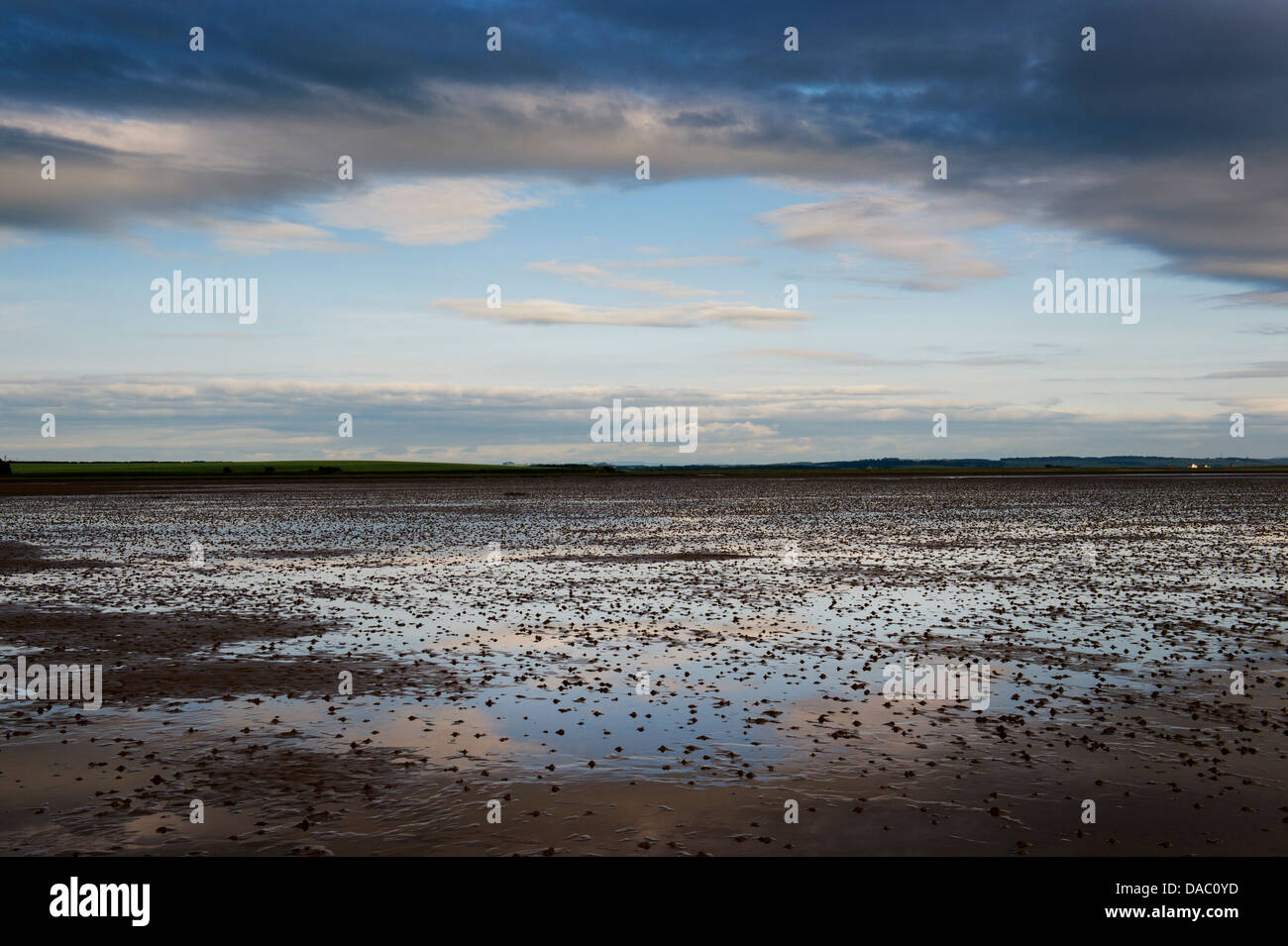 Mud flats from the causeway to Lindisfarne island, Northumberland Coastline, England Stock Photo