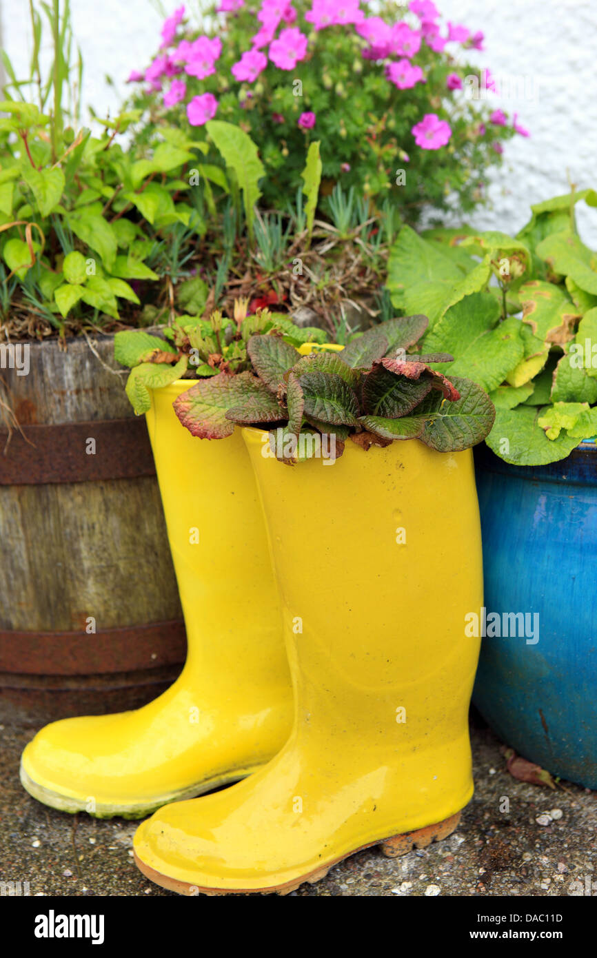 wellies wellingtons wellington boots yellow plants planters planter bright boot flowers flower pot pots gum boots gumbies Wellin Stock Photo