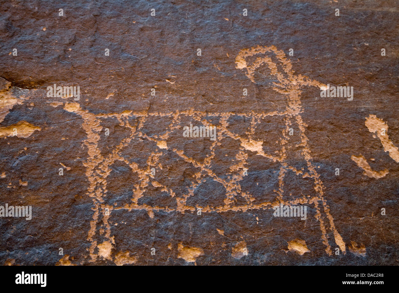 Prehistoric Anasazi petroglyphs in Grand Gulch, Utah. Stock Photo