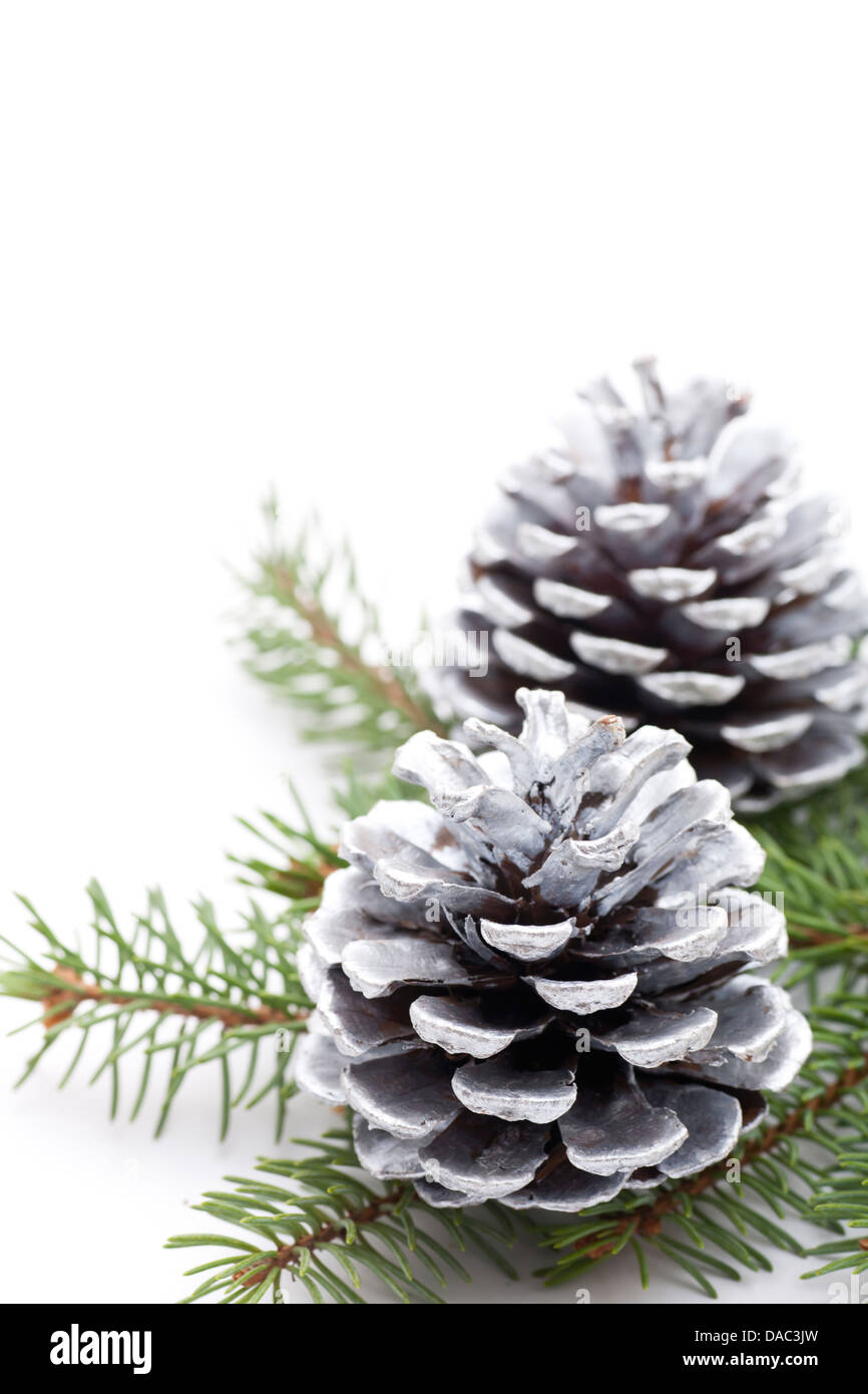 Silver Christmas Pine Cones on white background Stock Photo - Alamy