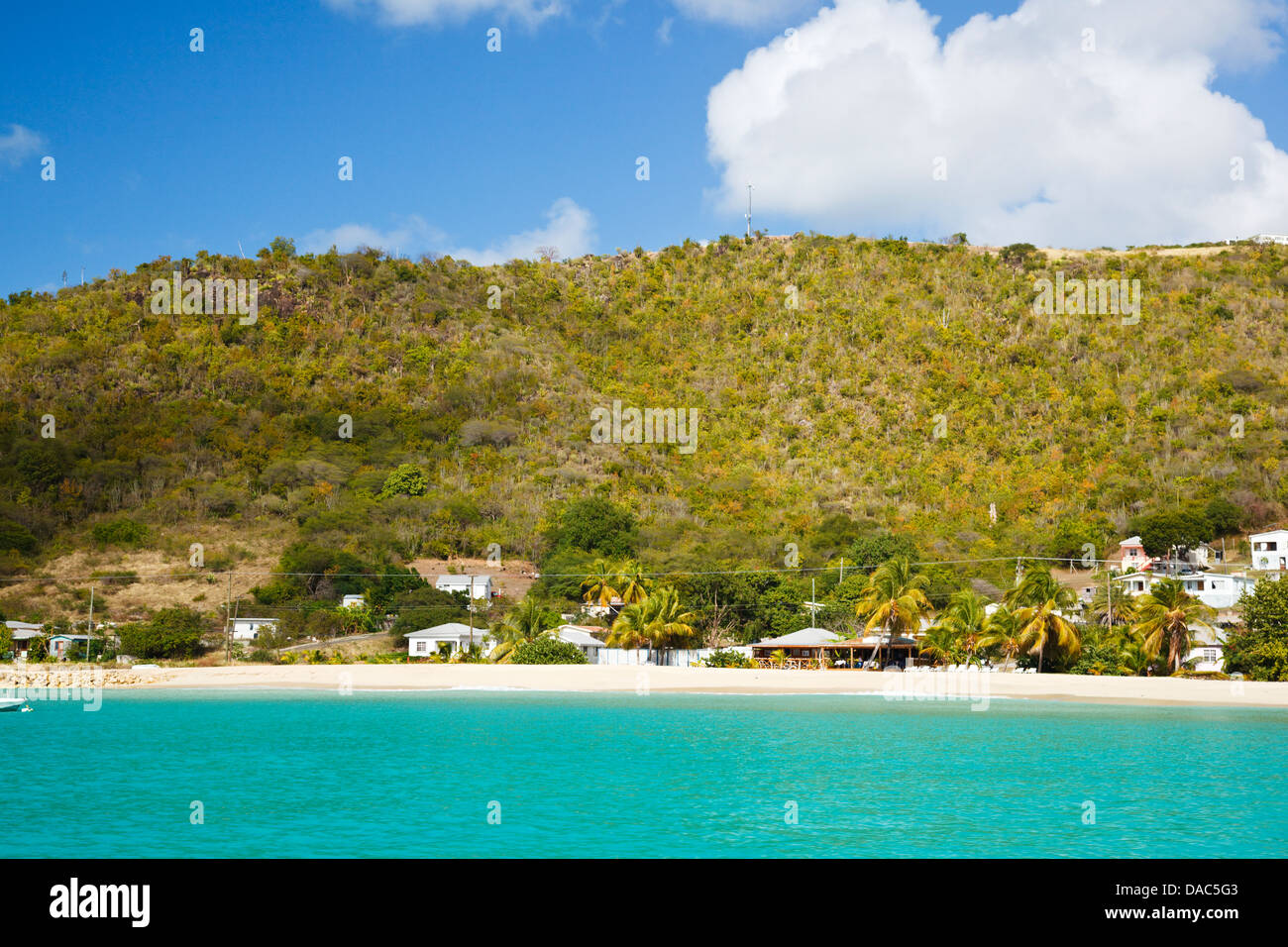 Perfect white caribbean beach with palm trees and turquoise sea. Turners Beach, Antigua. Stock Photo