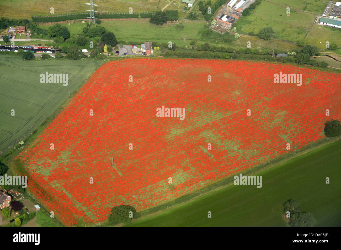 aerial view of a field of poppies in Britain Stock Photo