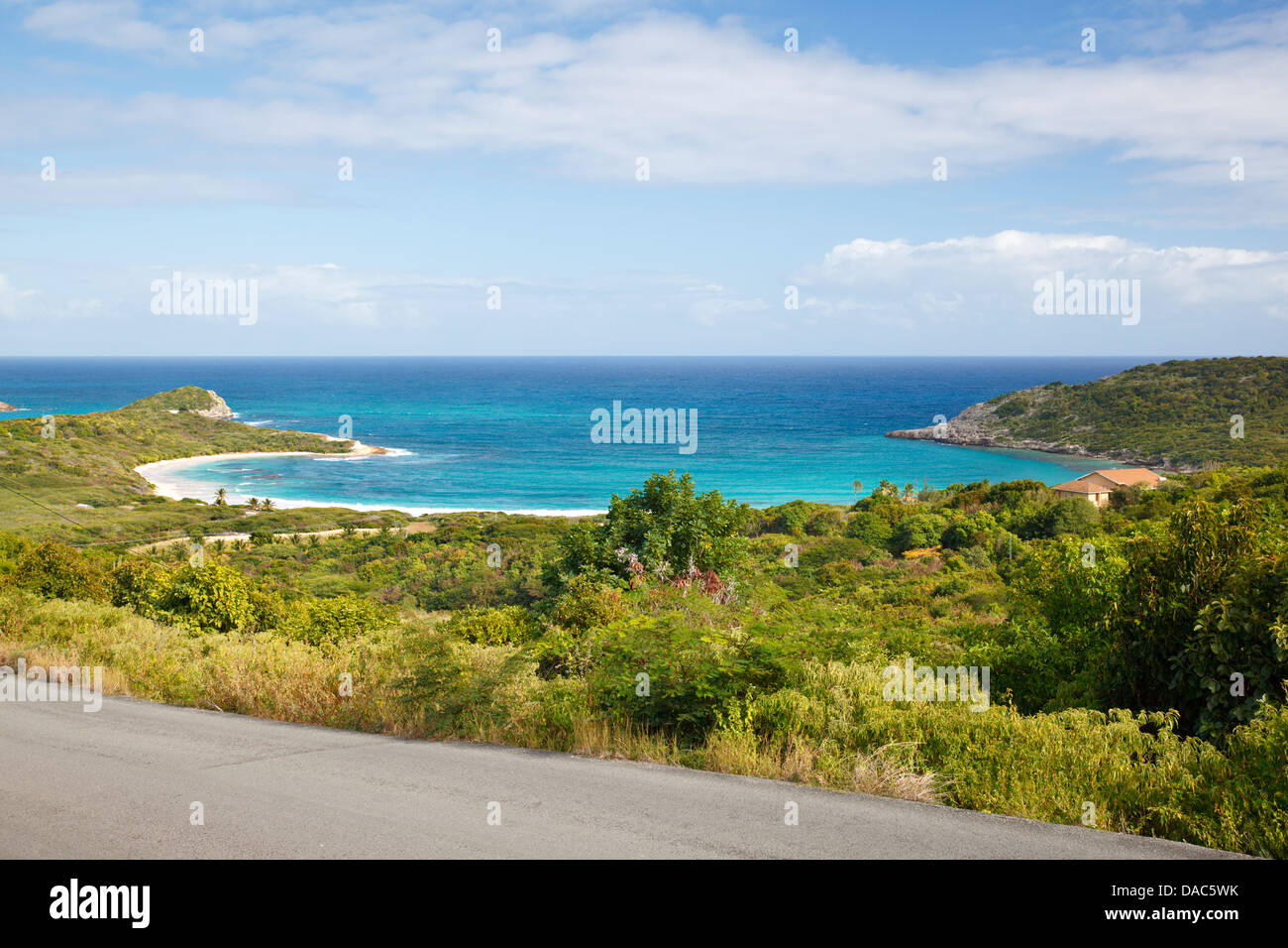 Perfect caribbean bay with palm trees and turquoise sea. Half Moon Bay, Antigua. Stock Photo