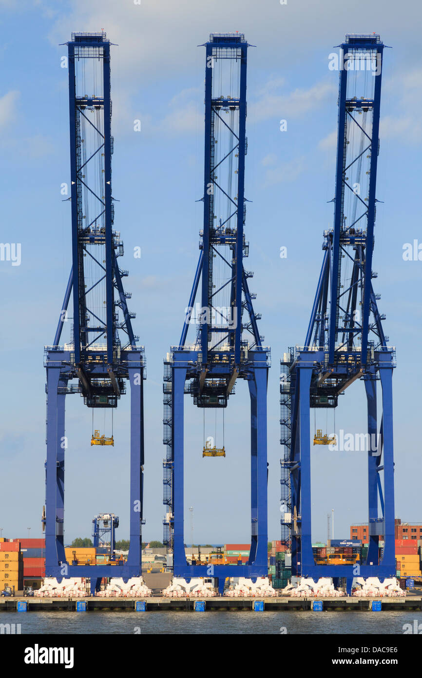 Gantry cranes for lifting containers on dockside terminal quay of largest container port in UK. Felixstowe Suffolk England UK Stock Photo