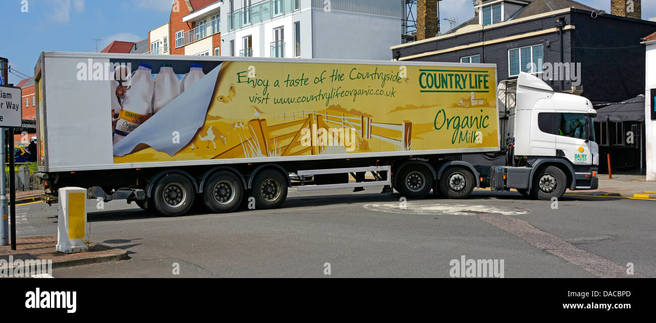 Dairy Crest lorry truck & Country Life Organic Milk food adverting on trailer side negotiating a small mini roundabout in town centre Essex England UK Stock Photo