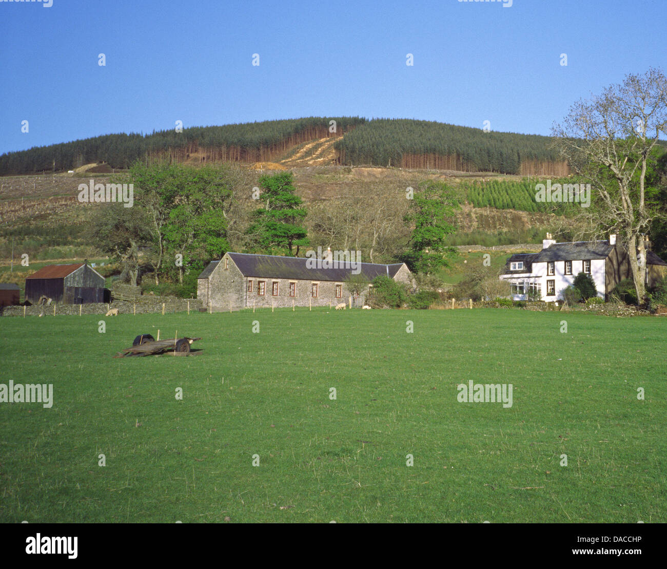 Bowerhope Farm, Upper Yarrow Valley, Borders, Scotland, UK Stock Photo
