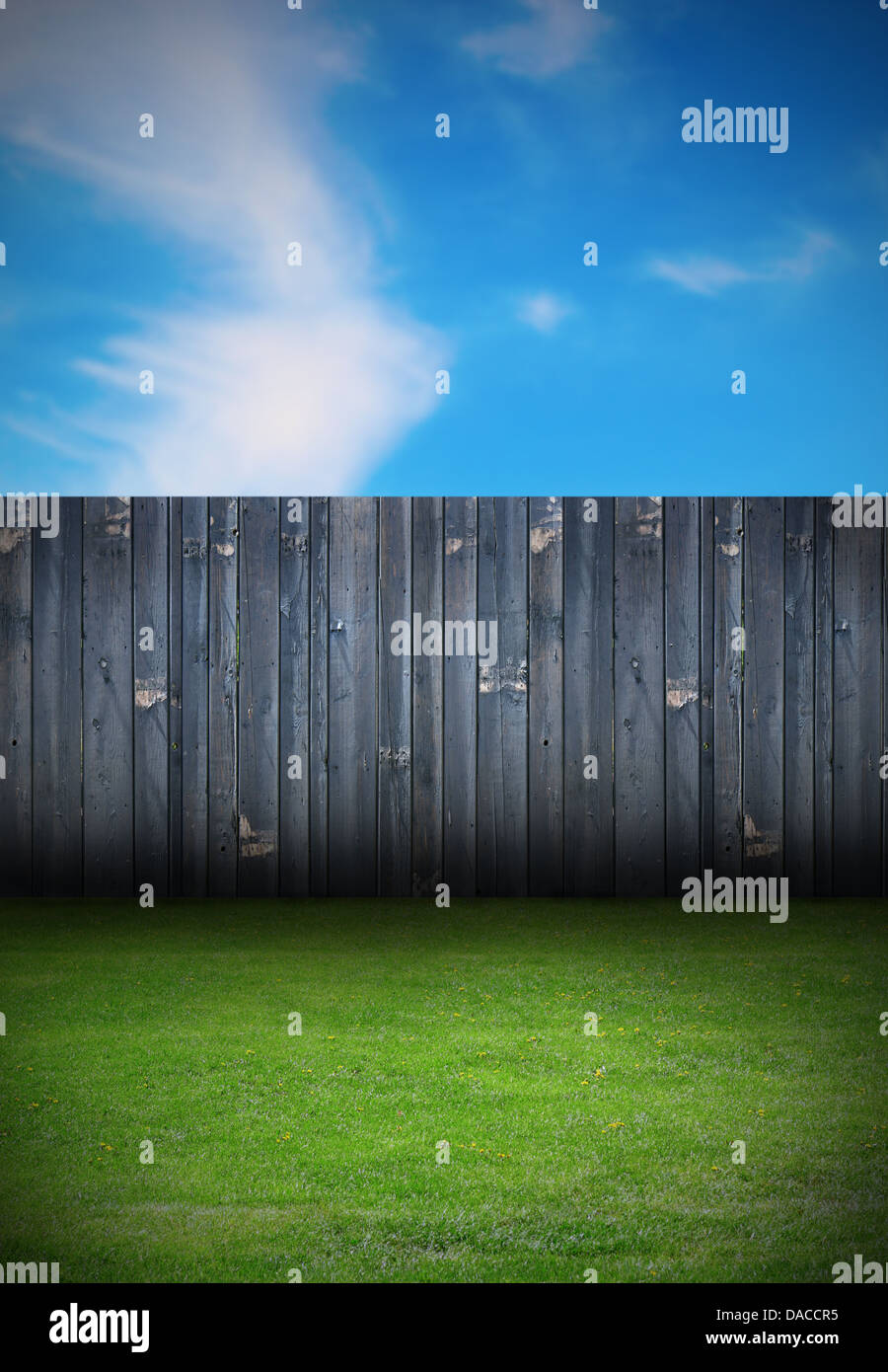 backdrop of backyard with old black wooden fence and green grass Stock ...