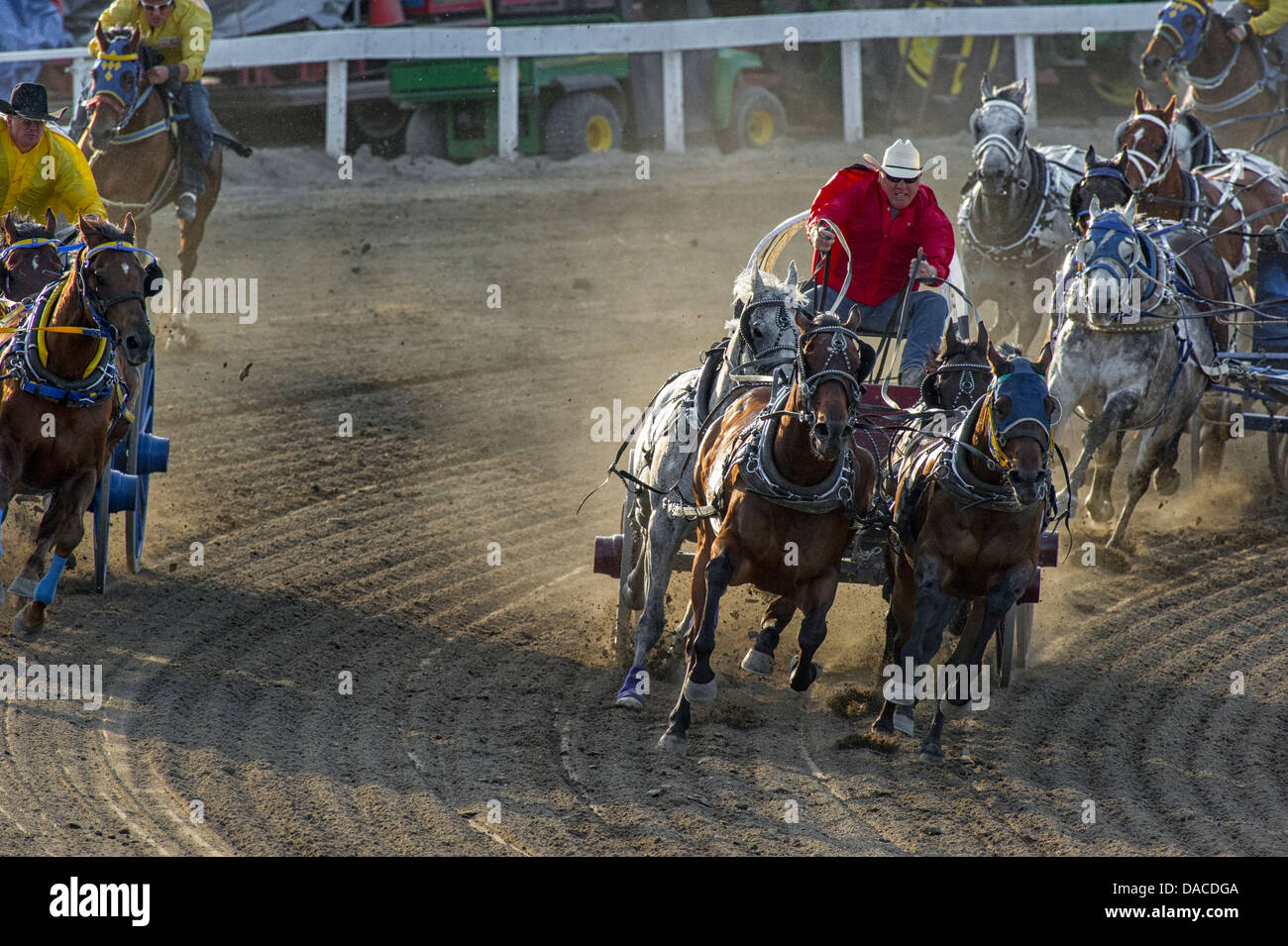 Chuckwagon race at the Calgary Stampede Stock Photo Alamy