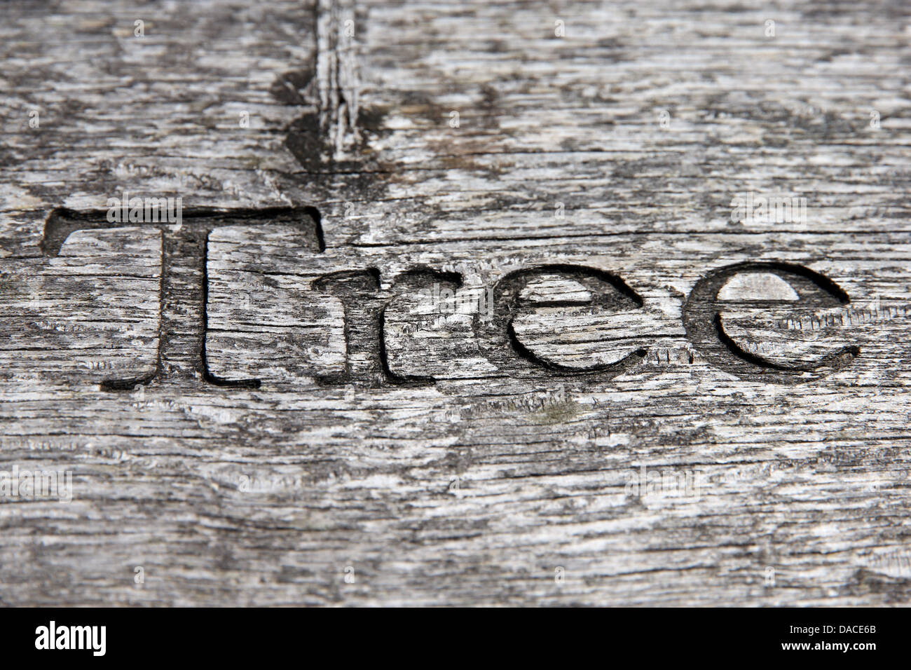 Font tree carving hires stock photography and images Alamy