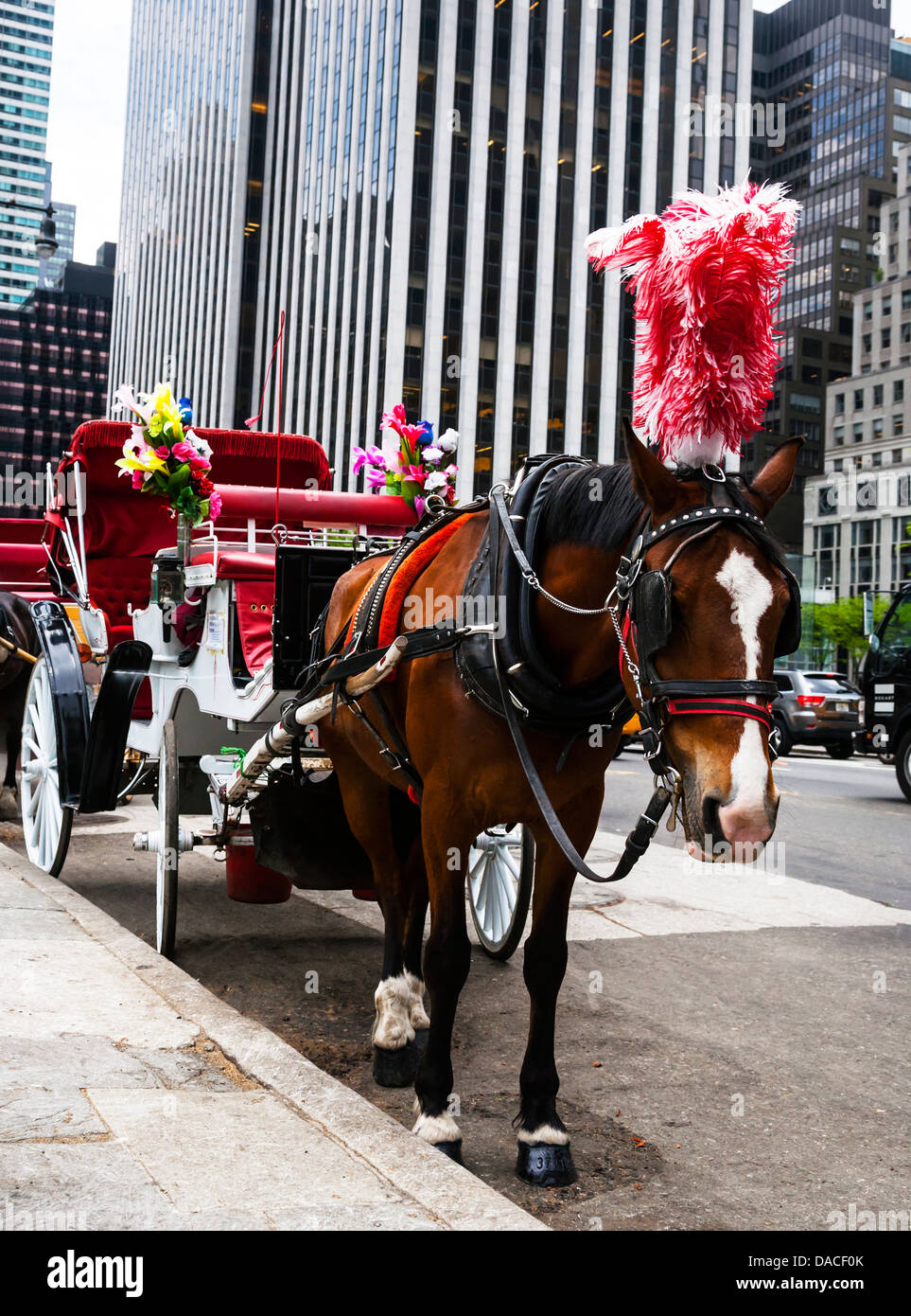 Horse carriage nyc hi-res stock photography and images - Alamy