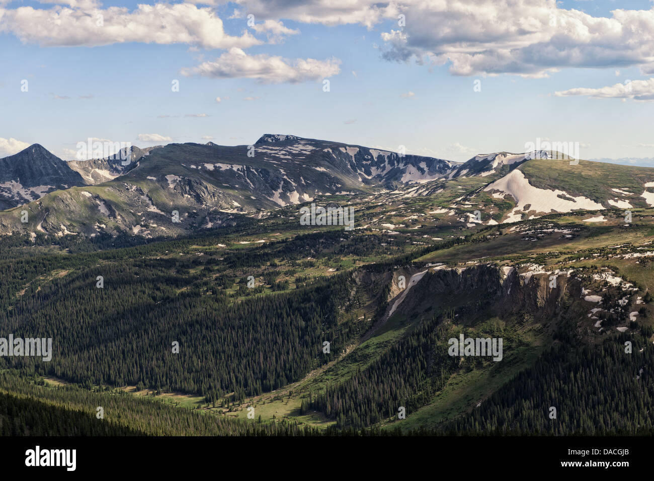 Composite Panorama of the black forest canyon, in Rocky Mountain National Park. Colorado USA. Stock Photo