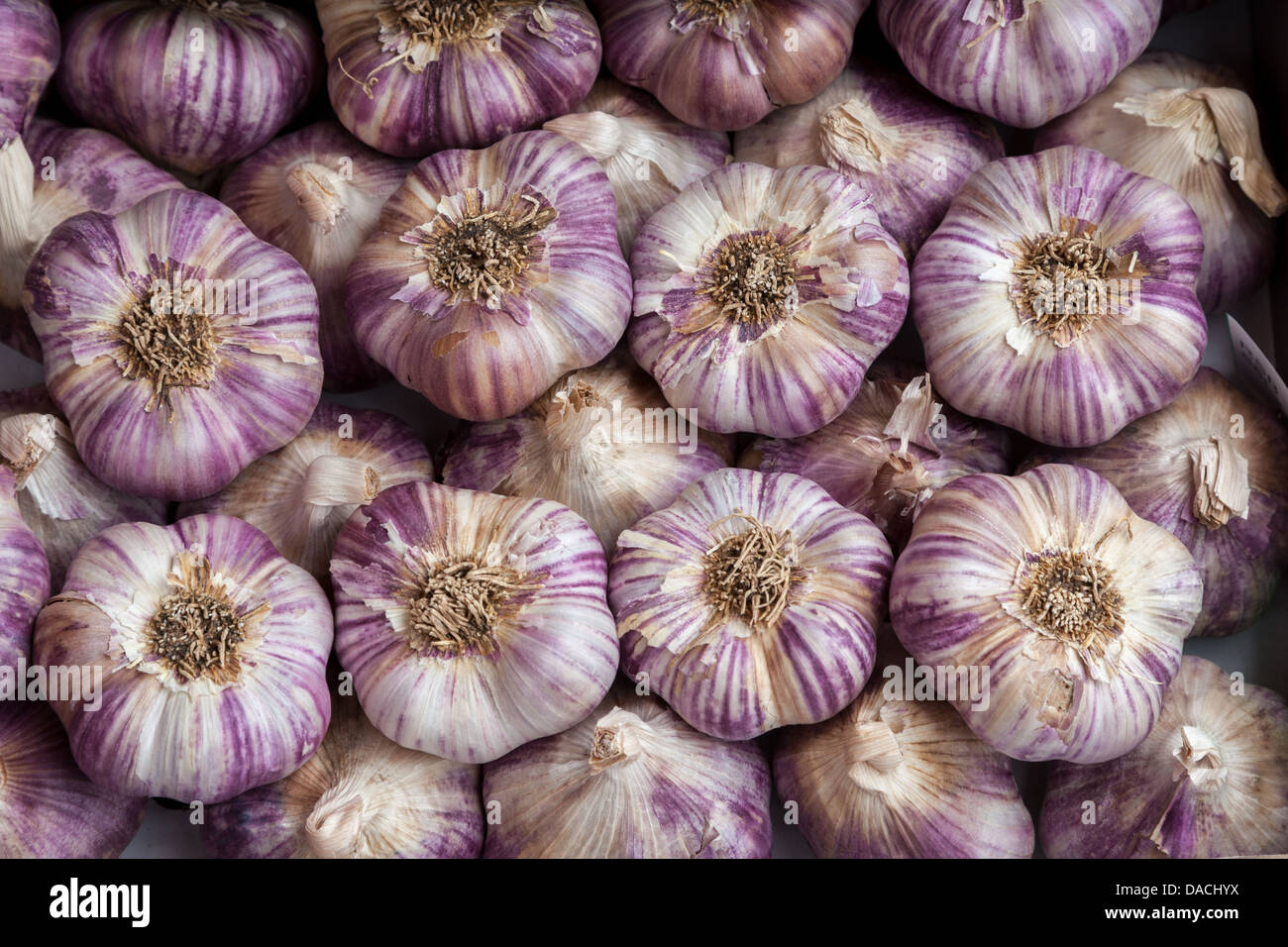 Onions on Market Stall, Nuremberg, Germany, Europe. Stock Photo