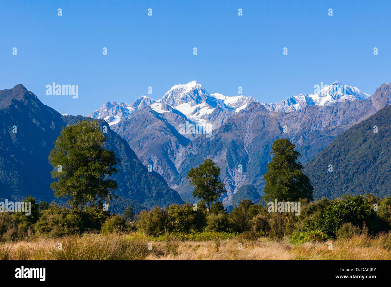 Aoraki/Mount Cook (3754m) is the highest mountain in New Zealand and is seen here from near Fox Glacier with Mount Tasman... Stock Photo
