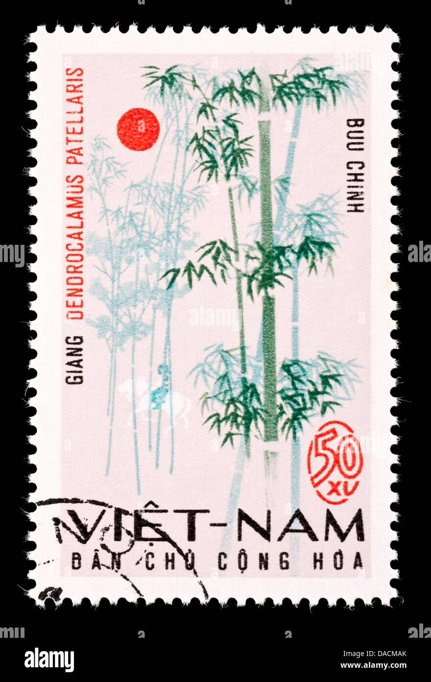 Postage stamp from Vietnam depicting bamboo (Dendrocalamus patellaris) Stock Photo