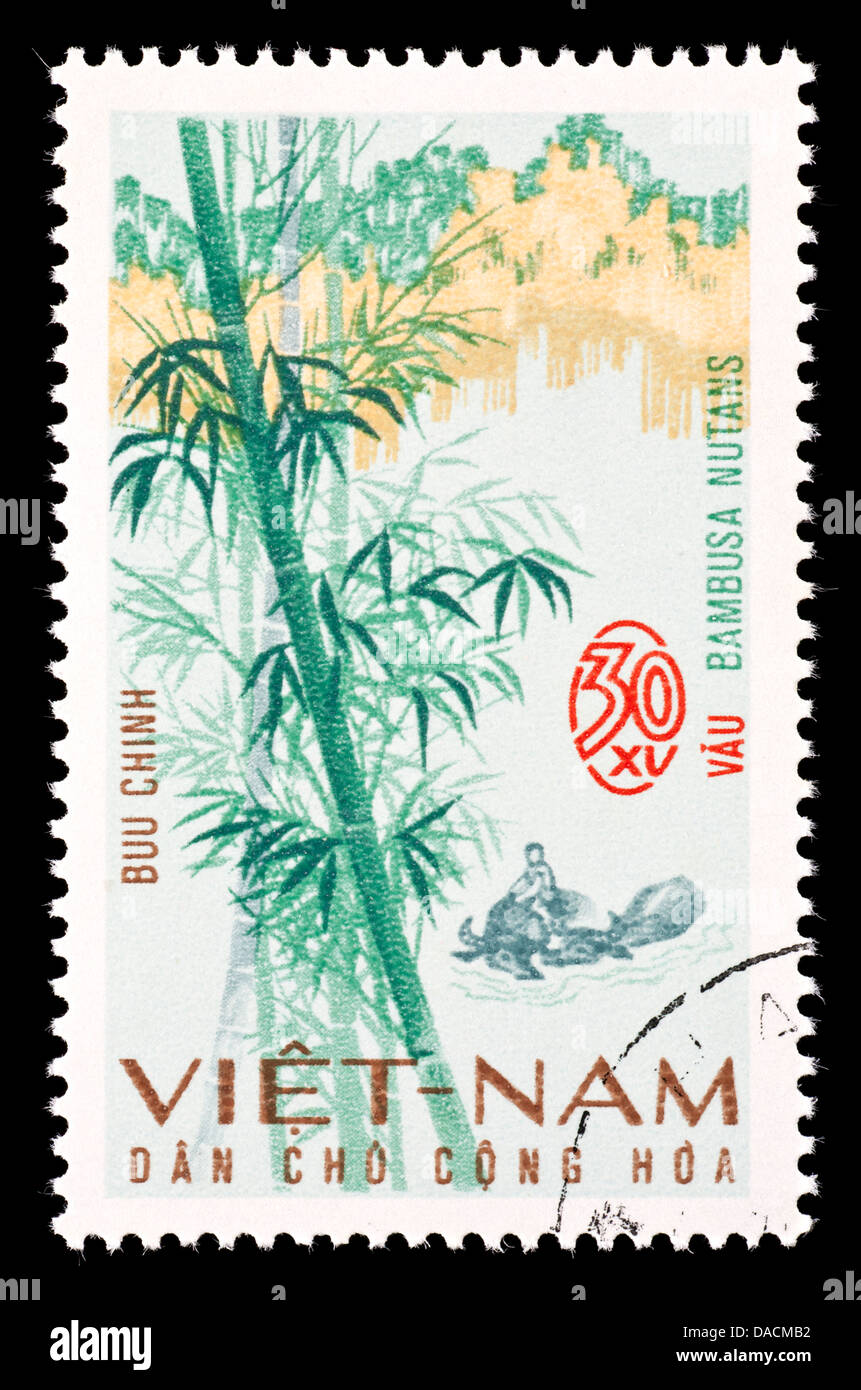Postage stamp from Vietnam depicting bamboo (Bambusa nutans Stock Photo ...