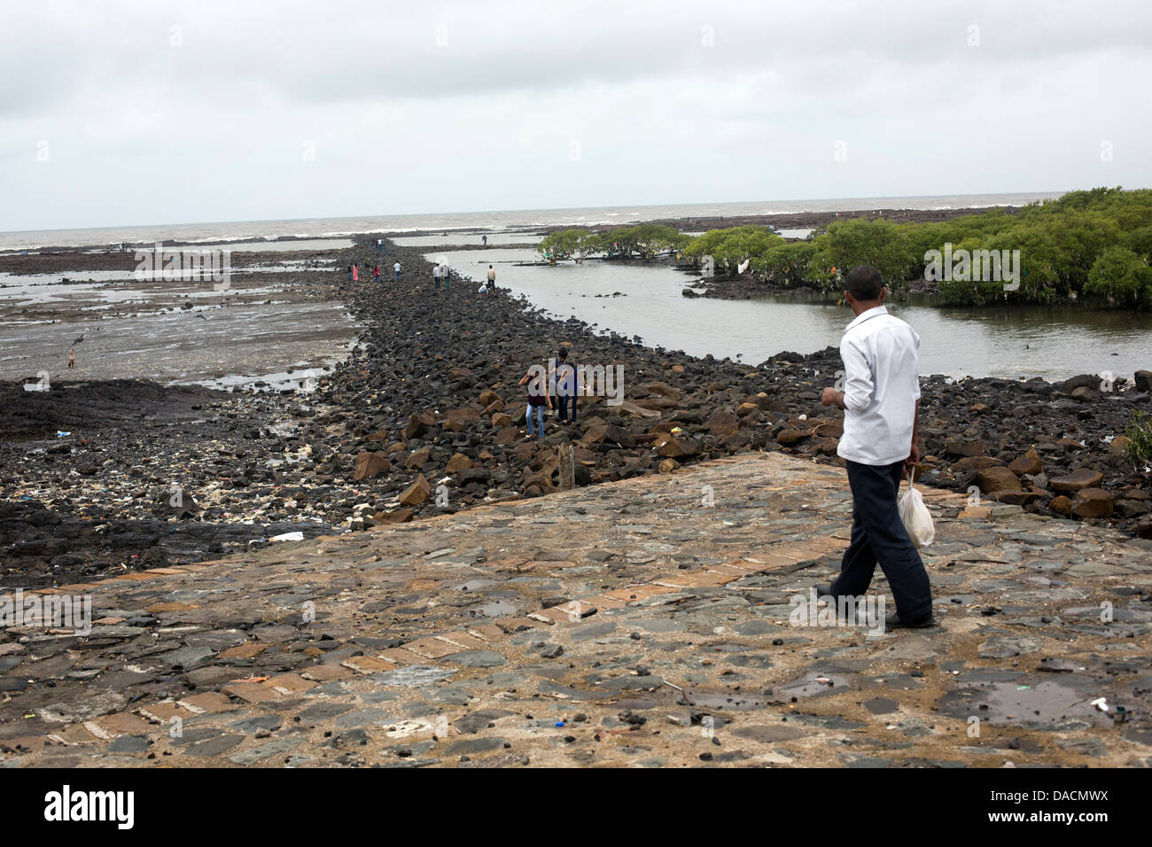 filthy seaside view man looking Mumbai coast Stock Photo