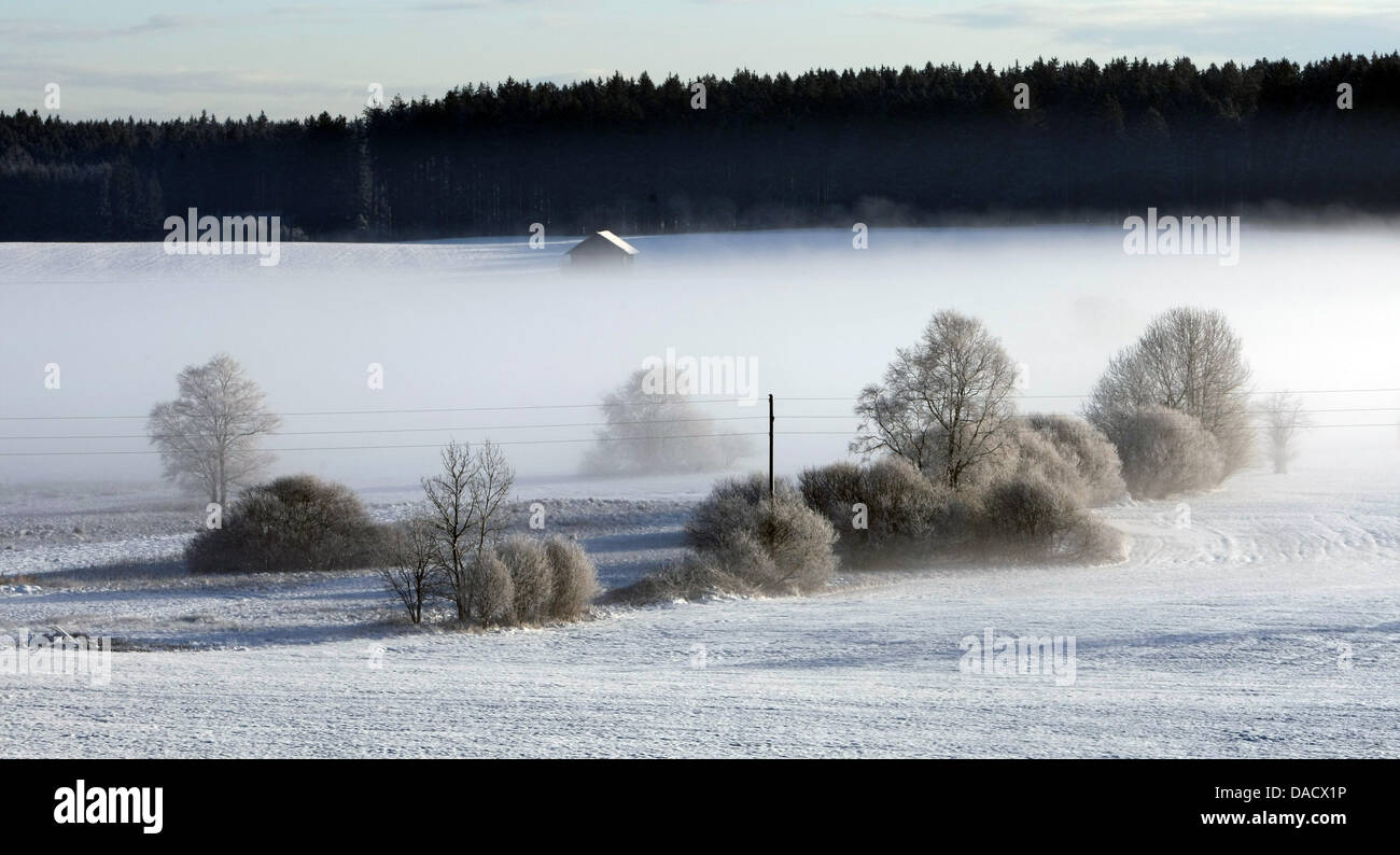 Hedges and trees are covered with frost near Ebenhofen, Germany, 19 December 2011. The weather is changable in the south with possible snowfall. Photo: Karl-Josef Hildenbrand Stock Photo