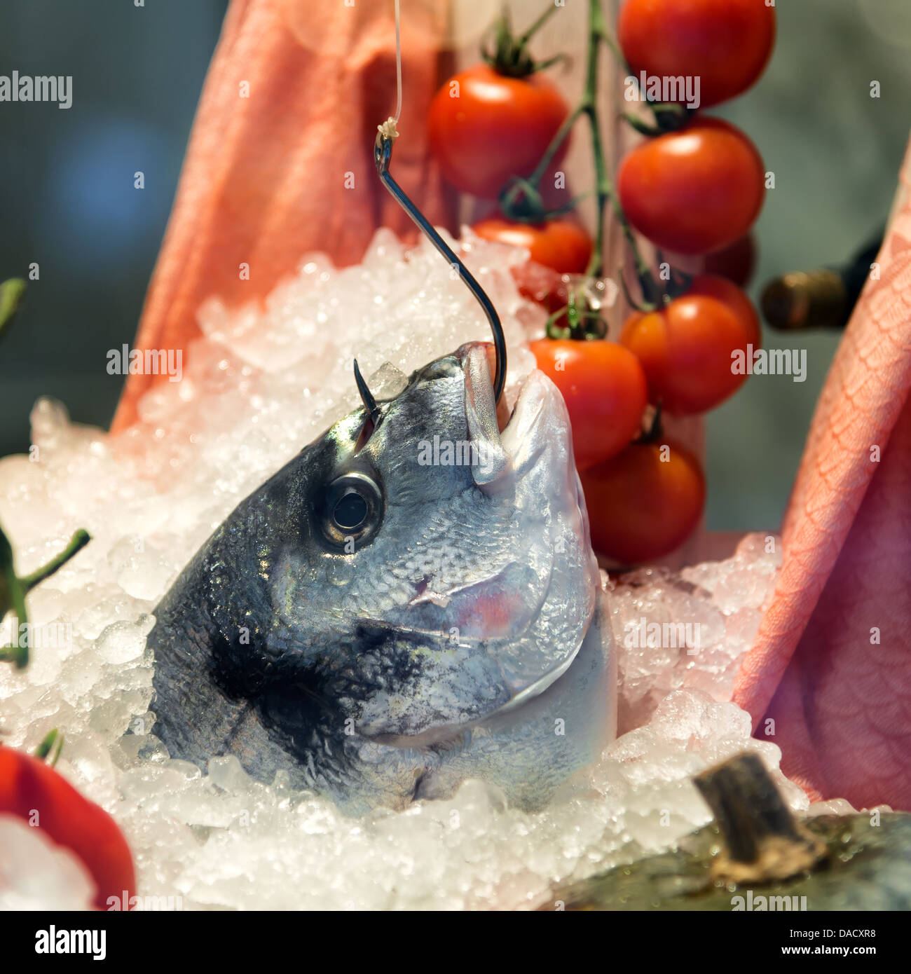 bream fish caught with hook in restaurant Stock Photo