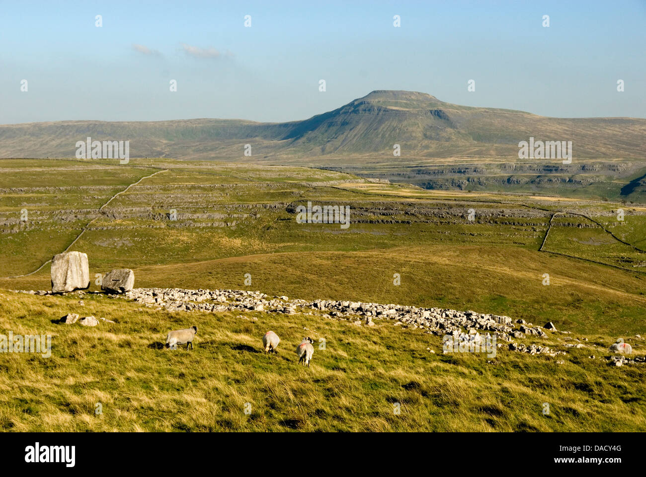 Ingleborough, seen beyond the Cheese Press Stone above Kingsdale, Yorkshire Dales, Yorkshire, England, United Kingdom, Europe Stock Photo