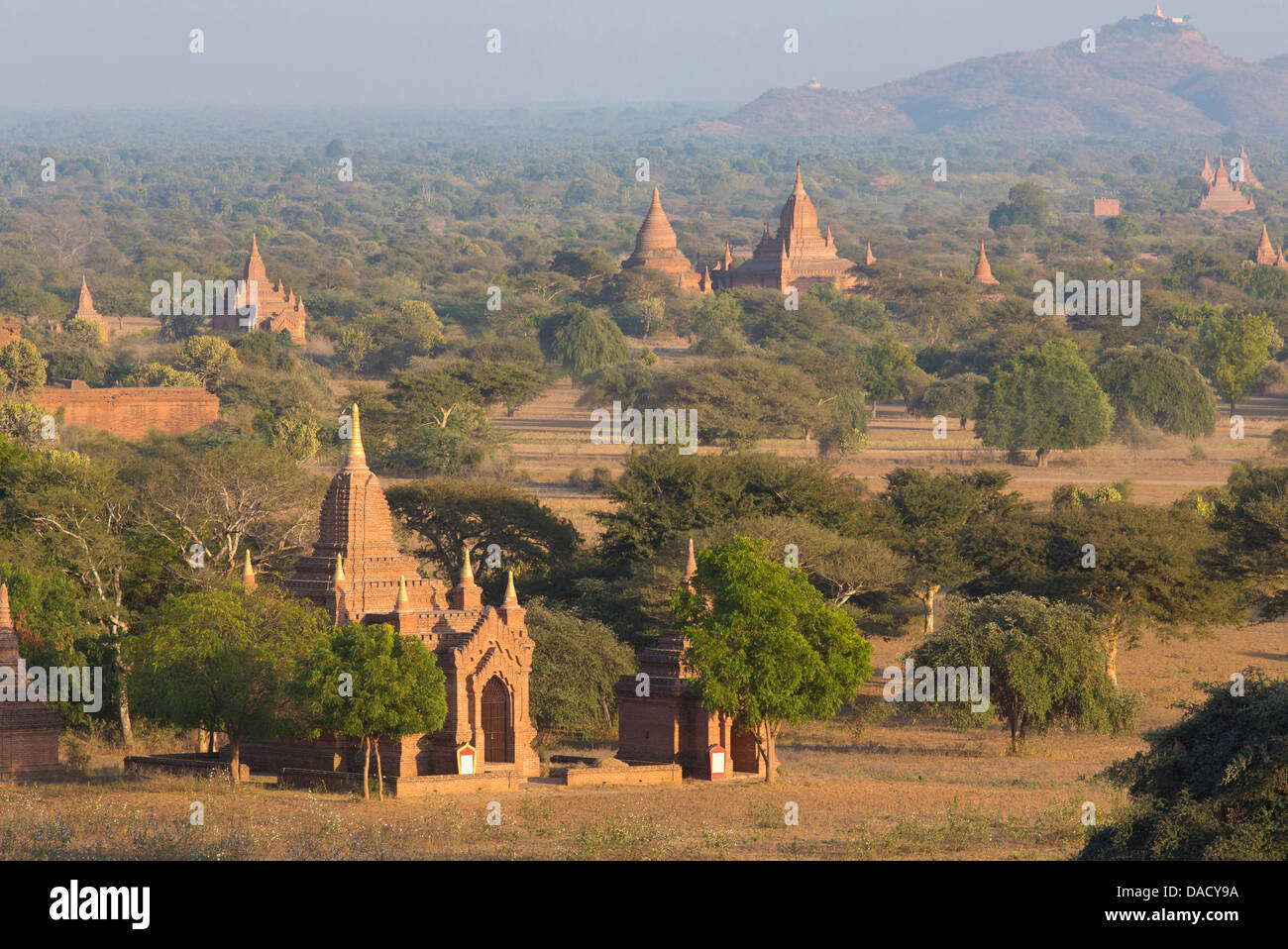 View over the temples of Bagan bathed in evening sunlight, from Shwesandaw Paya, Bagan, Myanmar (Burma), Southeast Asia Stock Photo