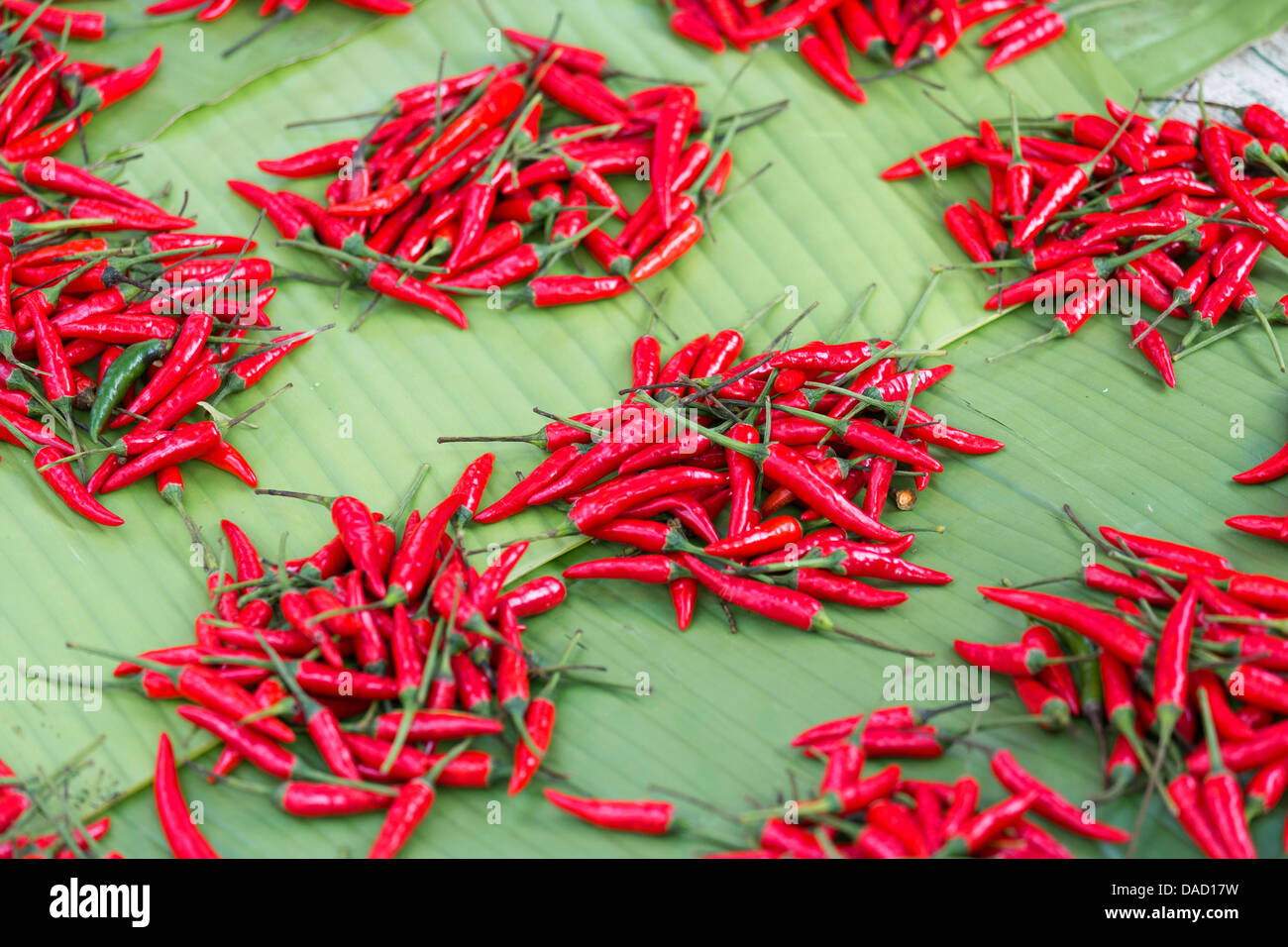Pile Chillies High Resolution Stock Photography and Images - Alamy
