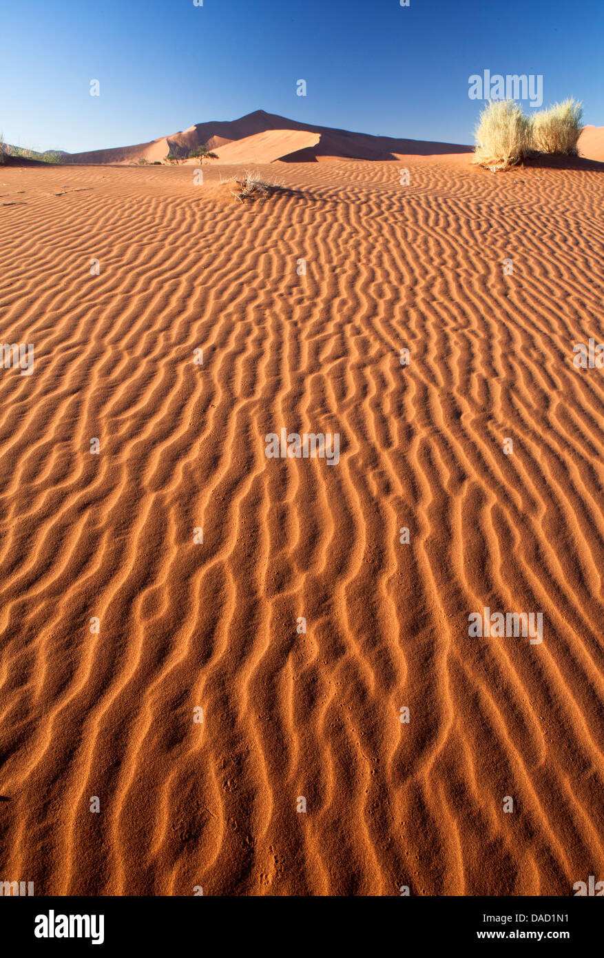 Dessert Ripples Ripples on sand hi-res stock photography and images - Alamy