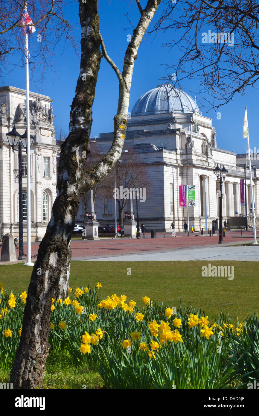 The National Museum of Wales, Cardiff, Wales, United Kingdom, Europe Stock Photo