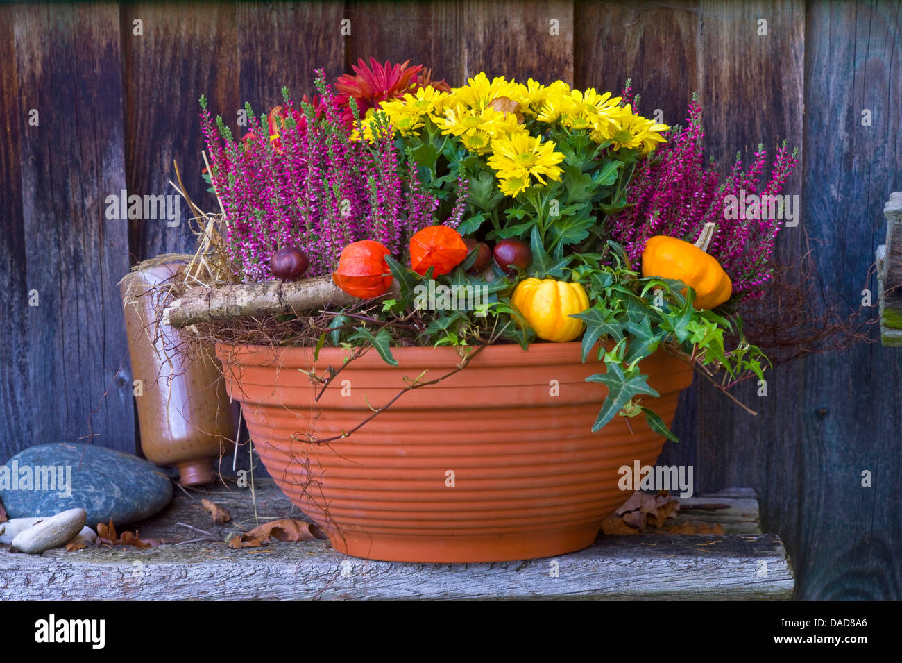 Earthenware Clay. Flower Pot For Plant (terracotta) Stock Photo, Picture  and Royalty Free Image. Image 113395382.