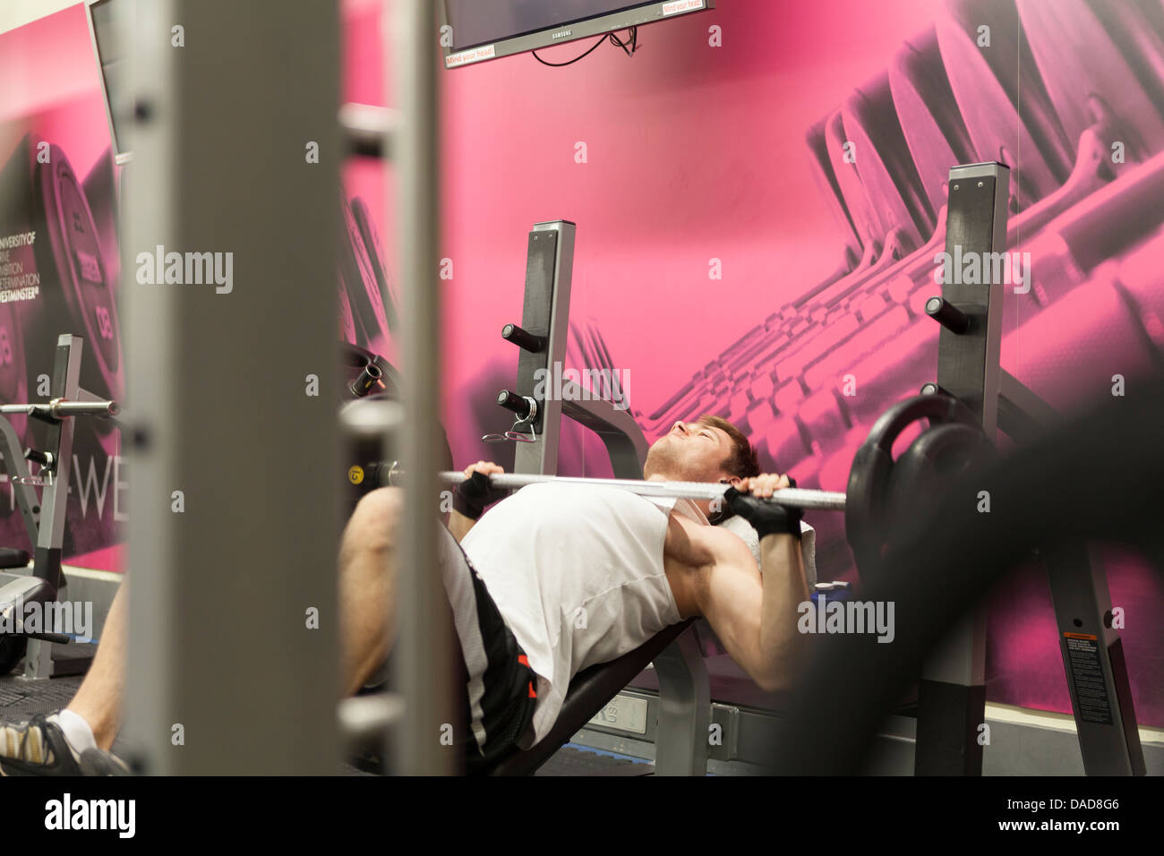 Gym weight lifter Stock Photo Alamy