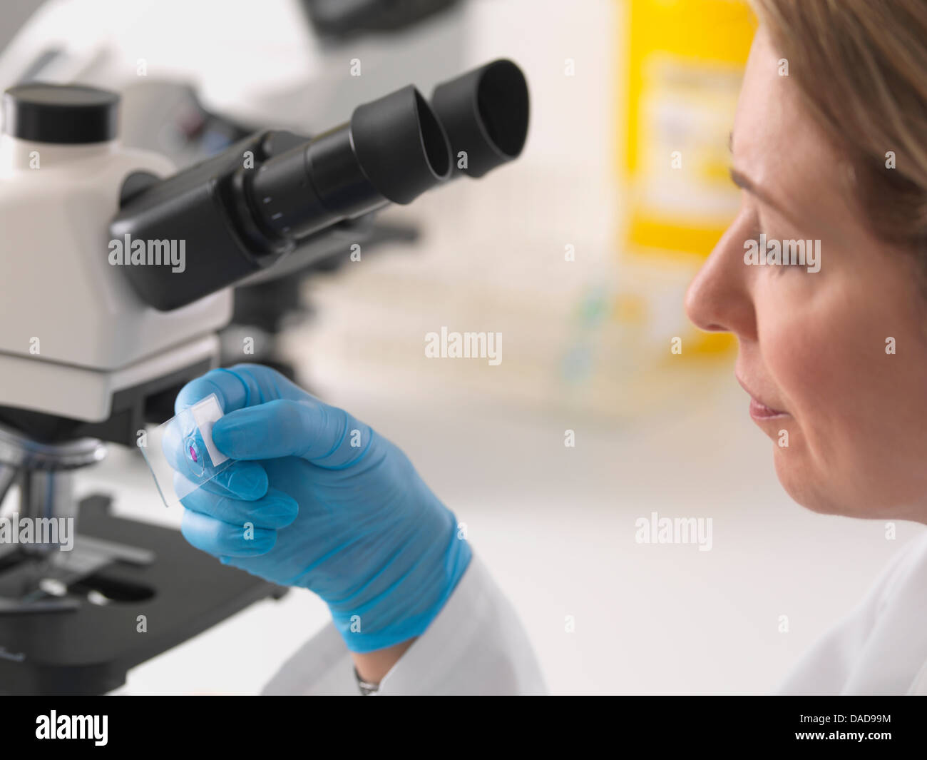 Female microbiologist viewing specimen slide hires stock photography and images Alamy