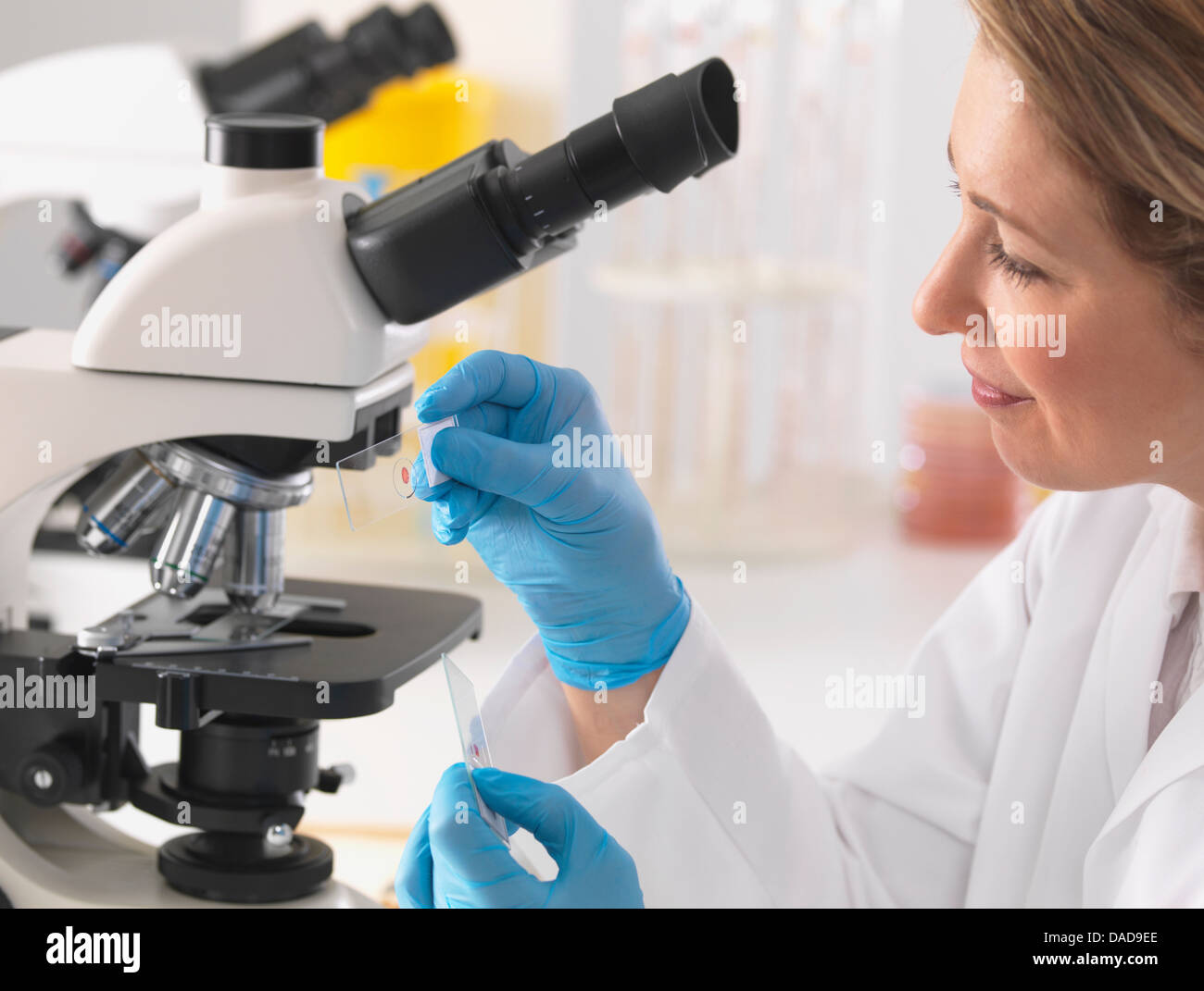 Under the microscope hires stock photography and images Alamy