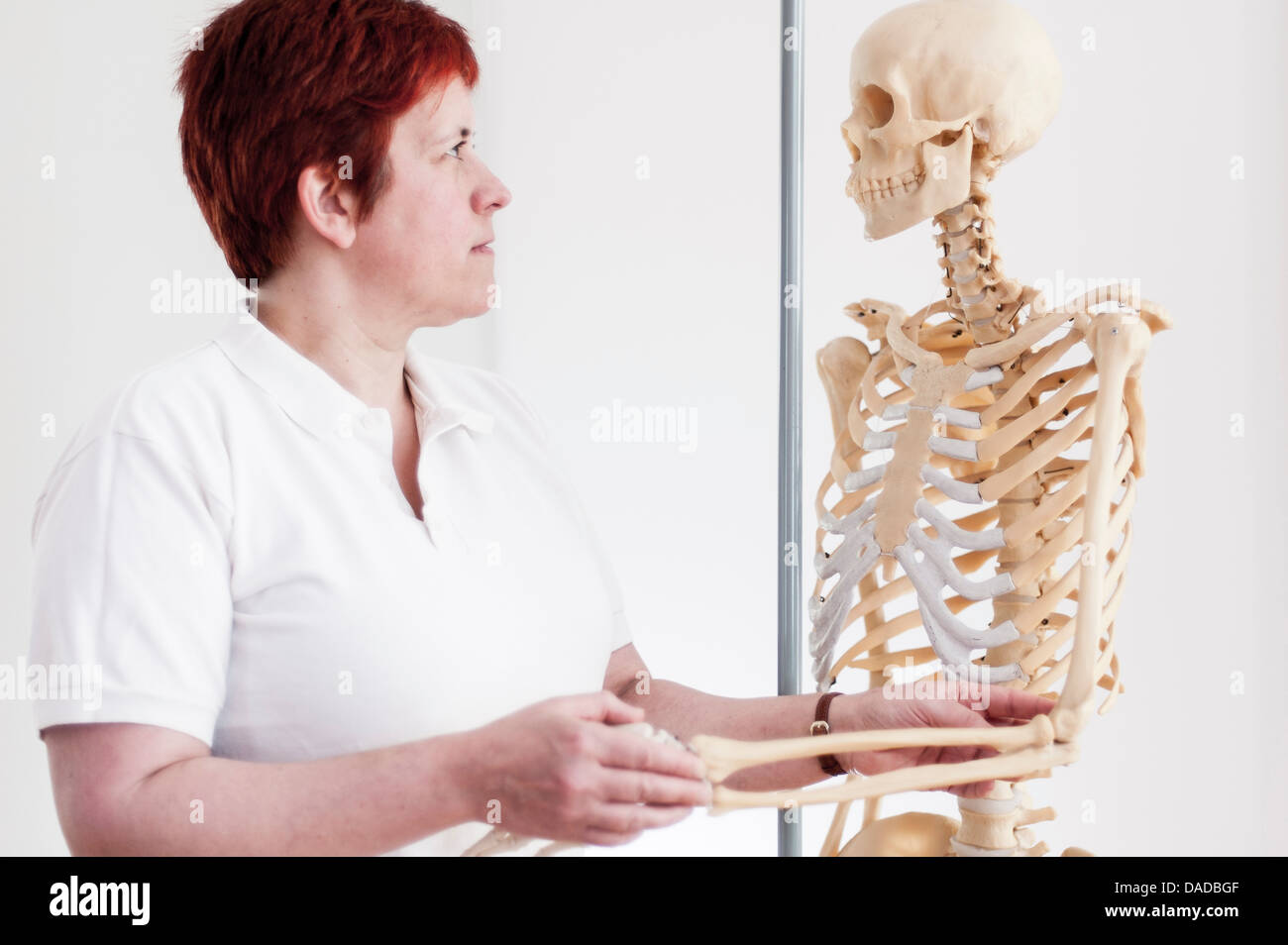 Woman holding arm of model skeleton Stock Photo
