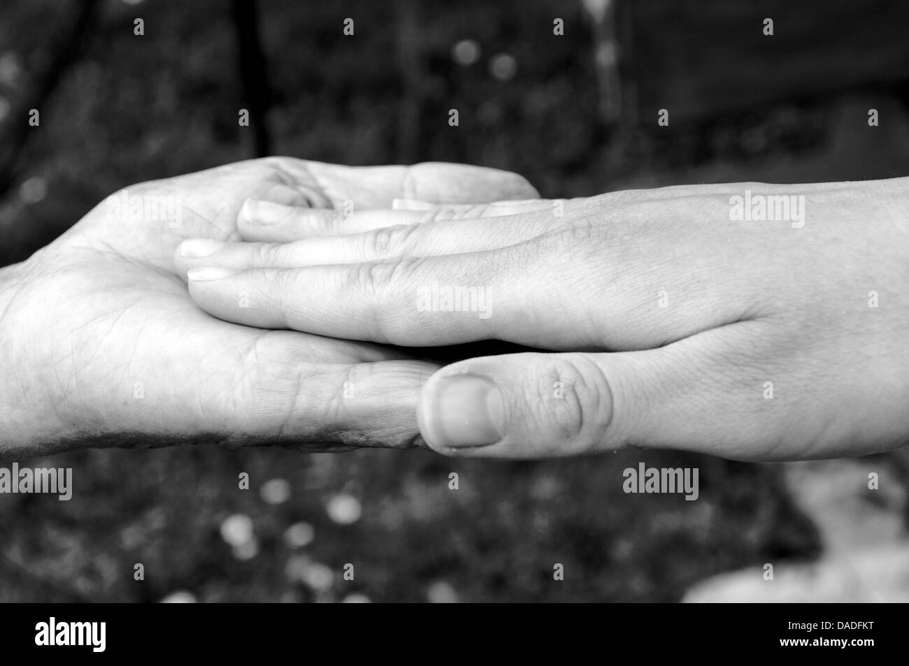 Old and young female hands as the sign of friendship Stock Photo - Alamy