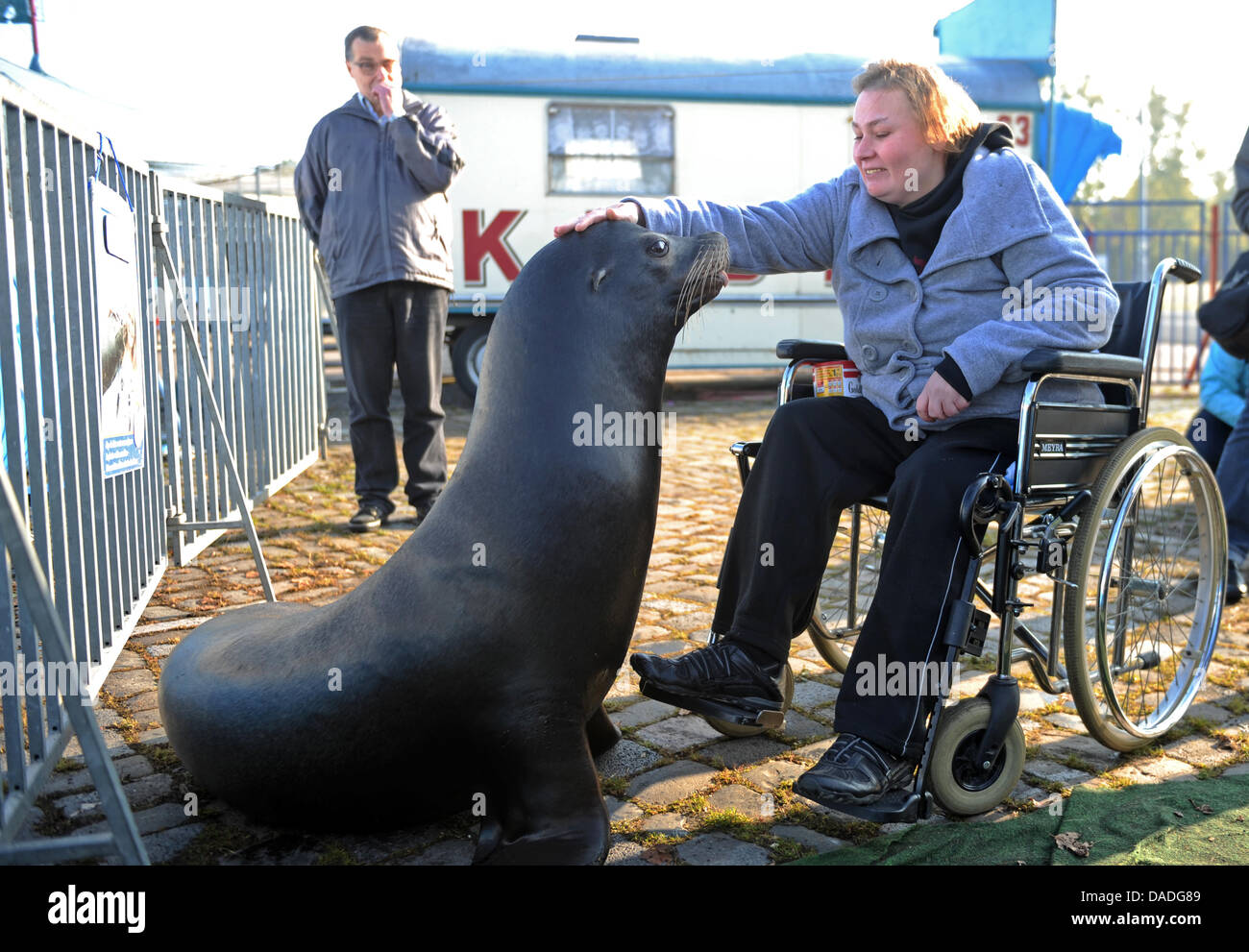 Marion plays with sea lion Charly on the premises of the Circus Krone
