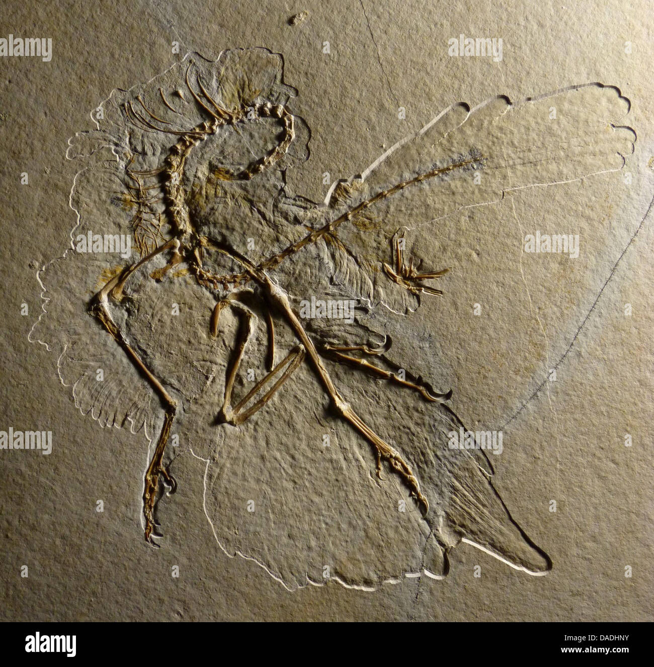 Mineral specimens hires stock photography and images Alamy