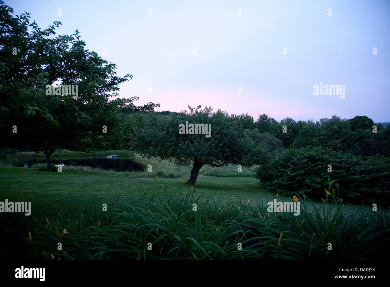 Lush green park at dusk Stock Photo - Alamy
