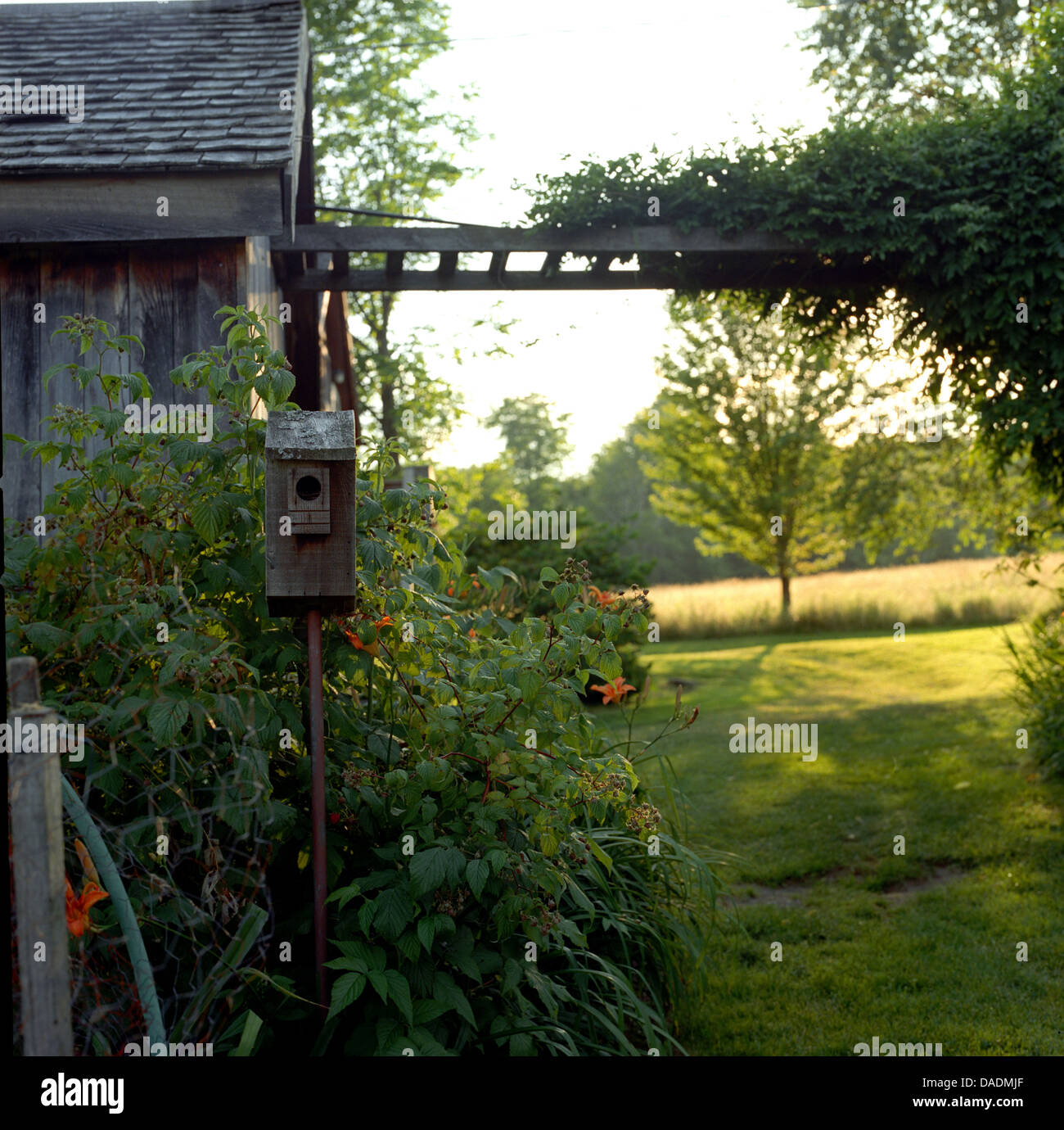 Birdhouse in garden Stock Photo Alamy