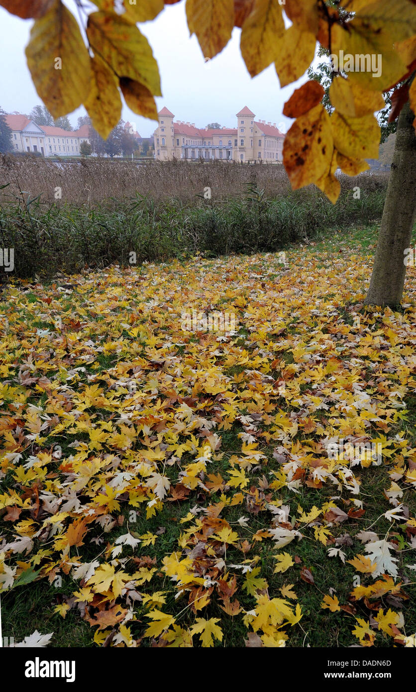 Coloured autumnal leaves lie on the maedows of the castle park of Rheinsberg, Germany, 24 Octobner 2011. Frederick the Great, while still Crown Prince, designed and moved into a restored chateau in Rheinsberg. The Castle is also known in literature through works by Theodor Fontane and Kurt Tucholsky. Photo: Bernd Settnik Stock Photo