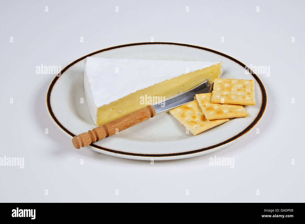 Wedge of Brie cheese with a cheese knife and crackers, Western Europe