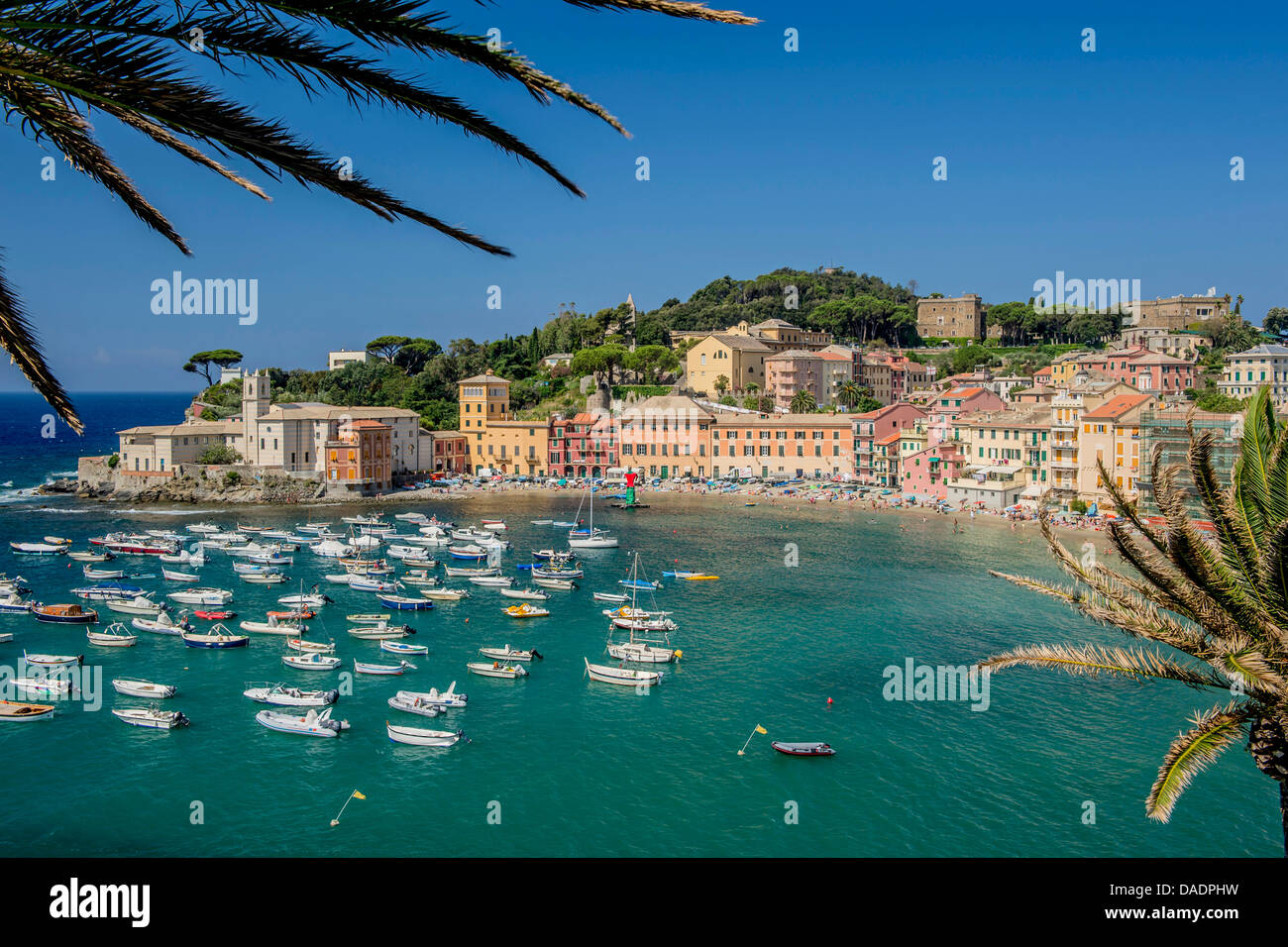 idyllic port of Sestri Levante, Italy, Liguria, Cinque Terre , Sestri  Levante Stock Photo - Alamy