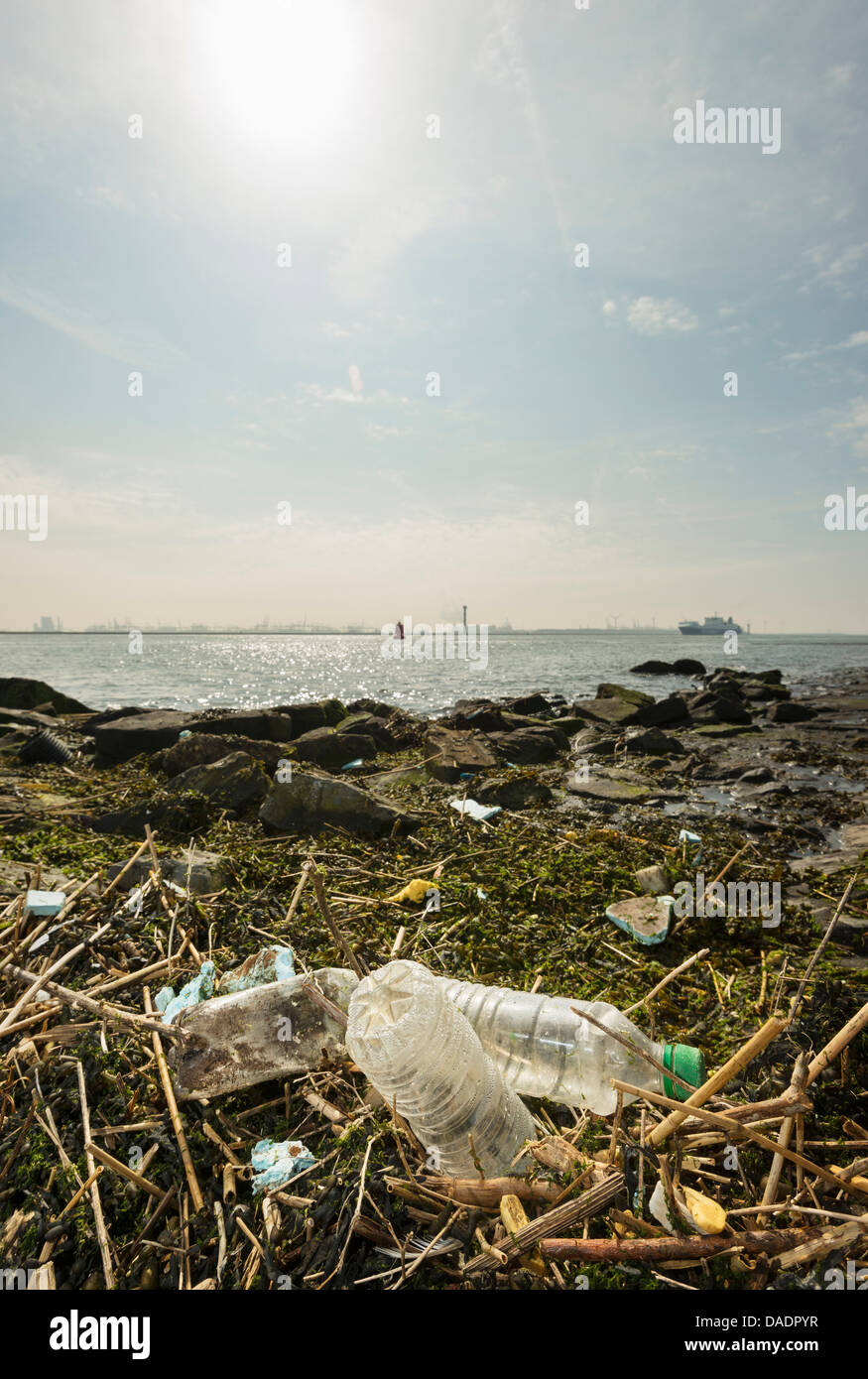 Washed up plastic bottles on wasteland, Rotterdam harbor Stock Photo