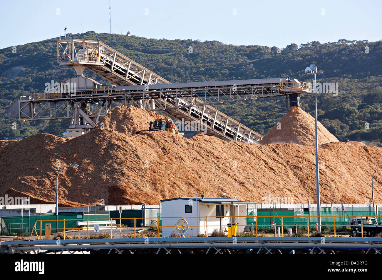 Albany Plantation Export Company ( APEC ), Albany Western Australia Stock Photo