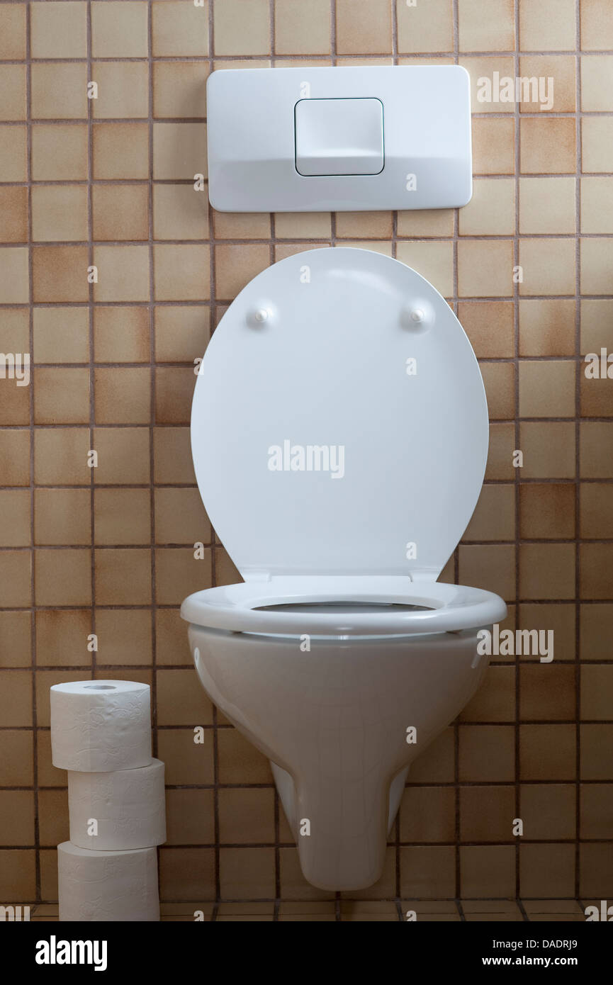 Germany, Interior of toilet with tissue paper Stock Photo Alamy