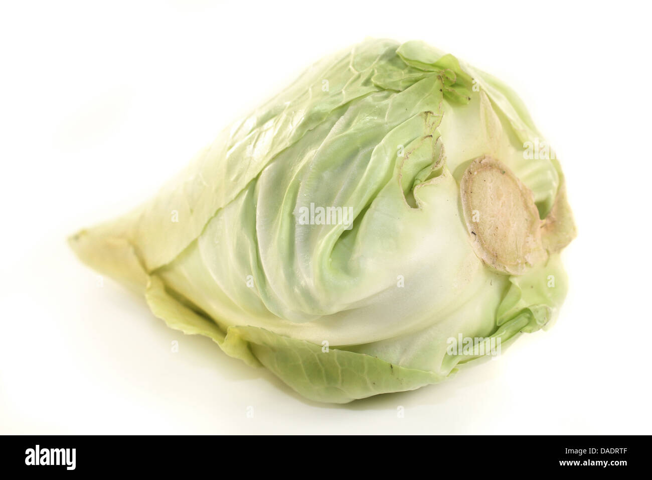 a raw cabbage against white background Stock Photo