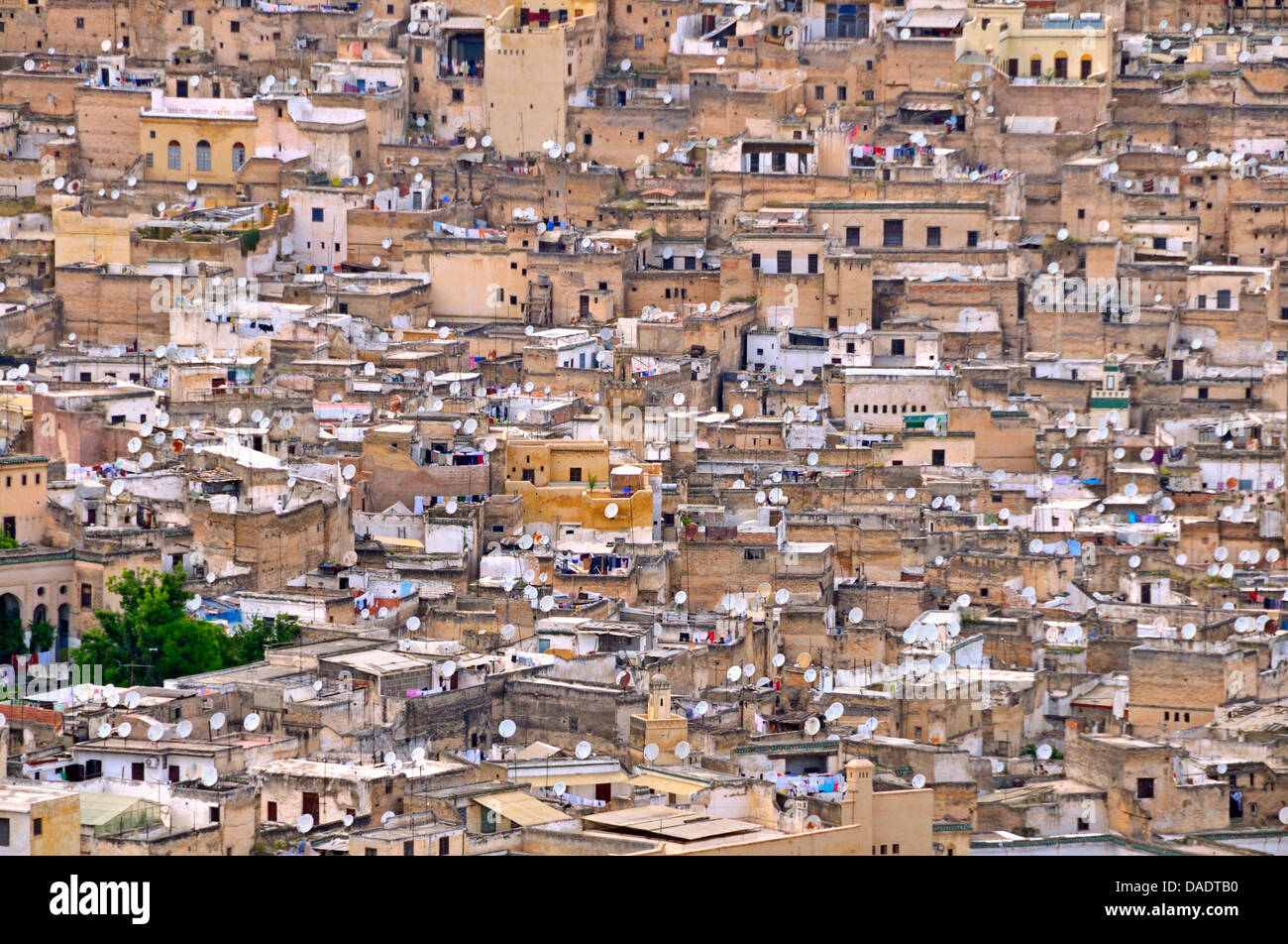 sea of houses and satellite dishes in the old city, Morocco, Fes Stock Photo