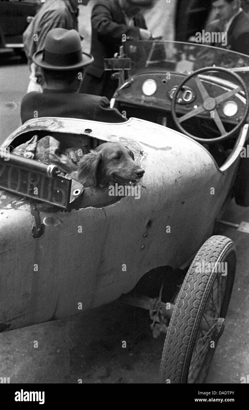 Paris 1938, dog sitting in car. Image by photographer Fred Stein (1909-1967) who emigrated 1933 from Nazi Germany to France and finally to the USA. Stock Photo