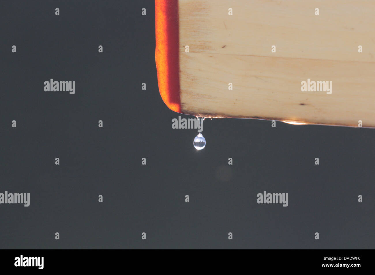 Paddle with water dripping off Stock Photo Alamy