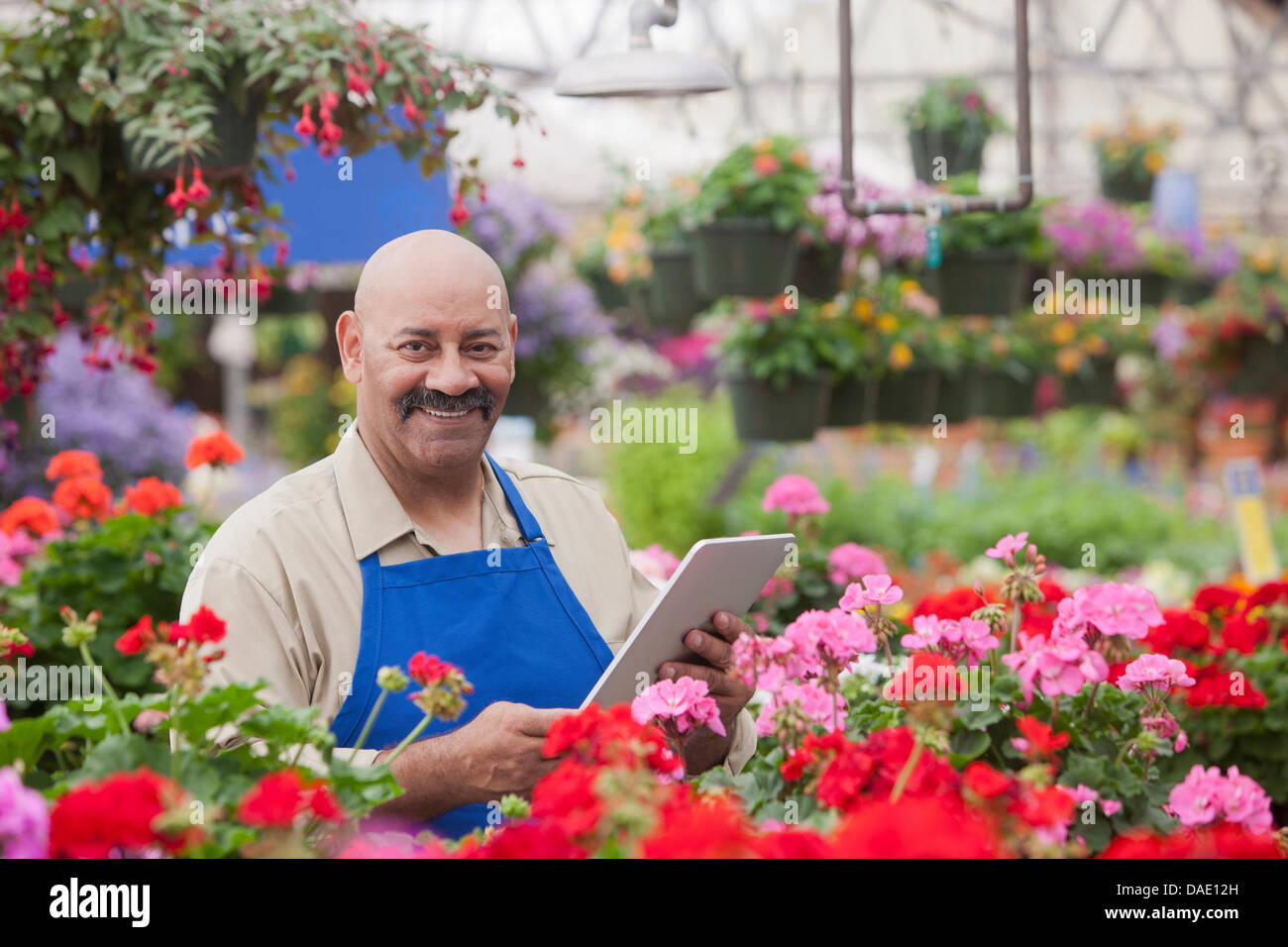 Mature man working in garden centre hi-res stock photography and images ...