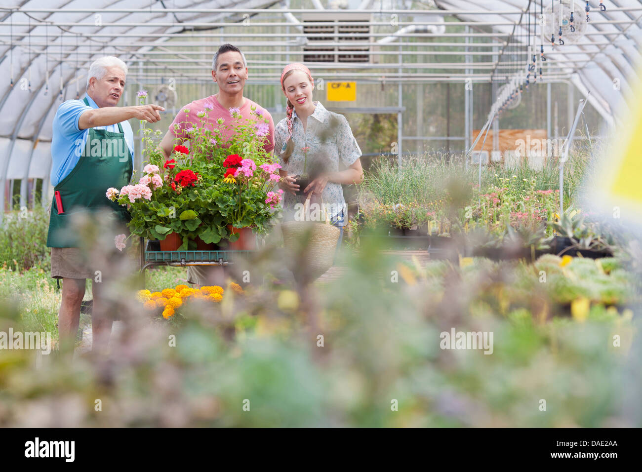 Man woman senior garden centre hi-res stock photography and images - Alamy