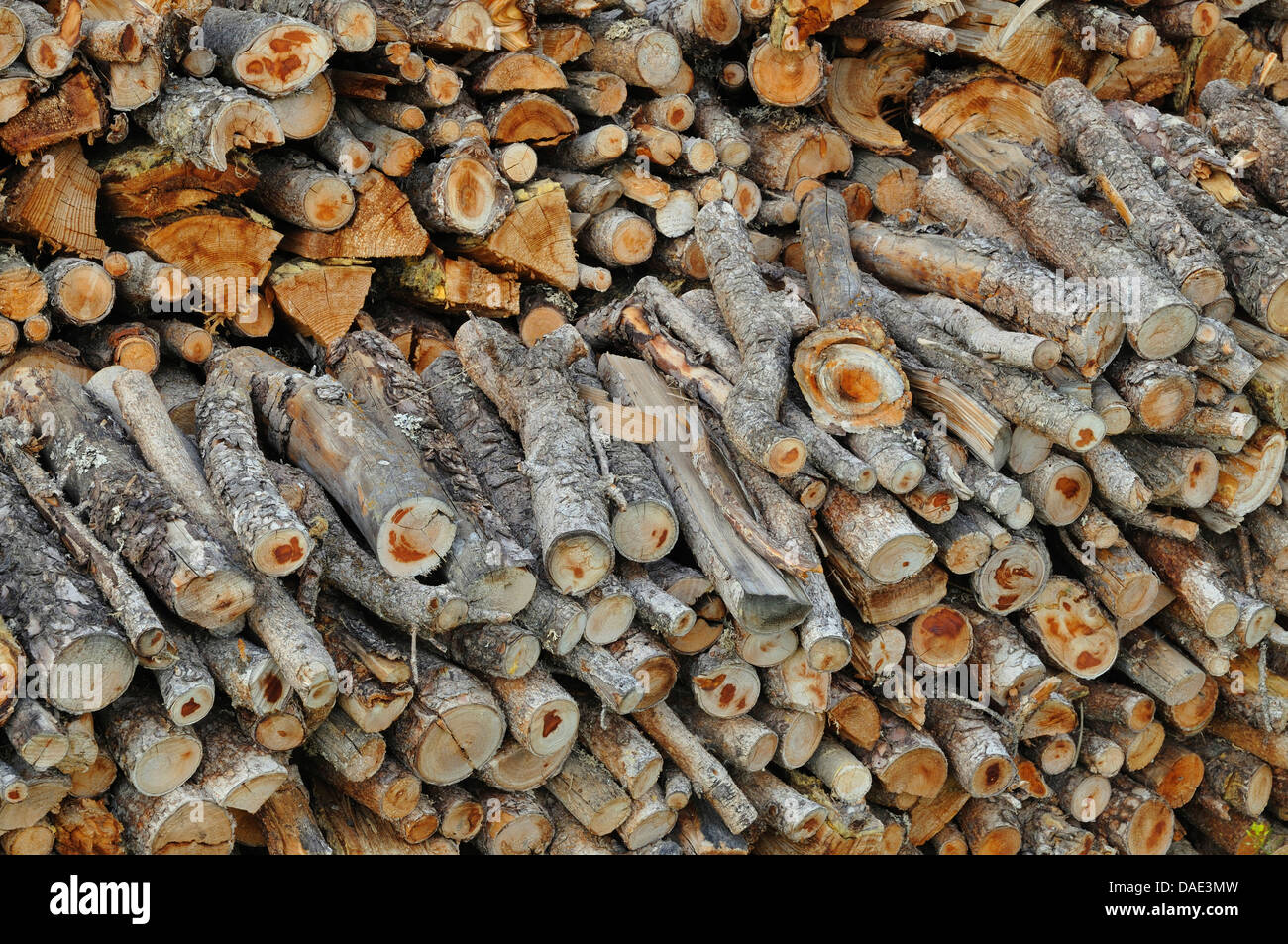 Fuelwood hires stock photography and images Alamy